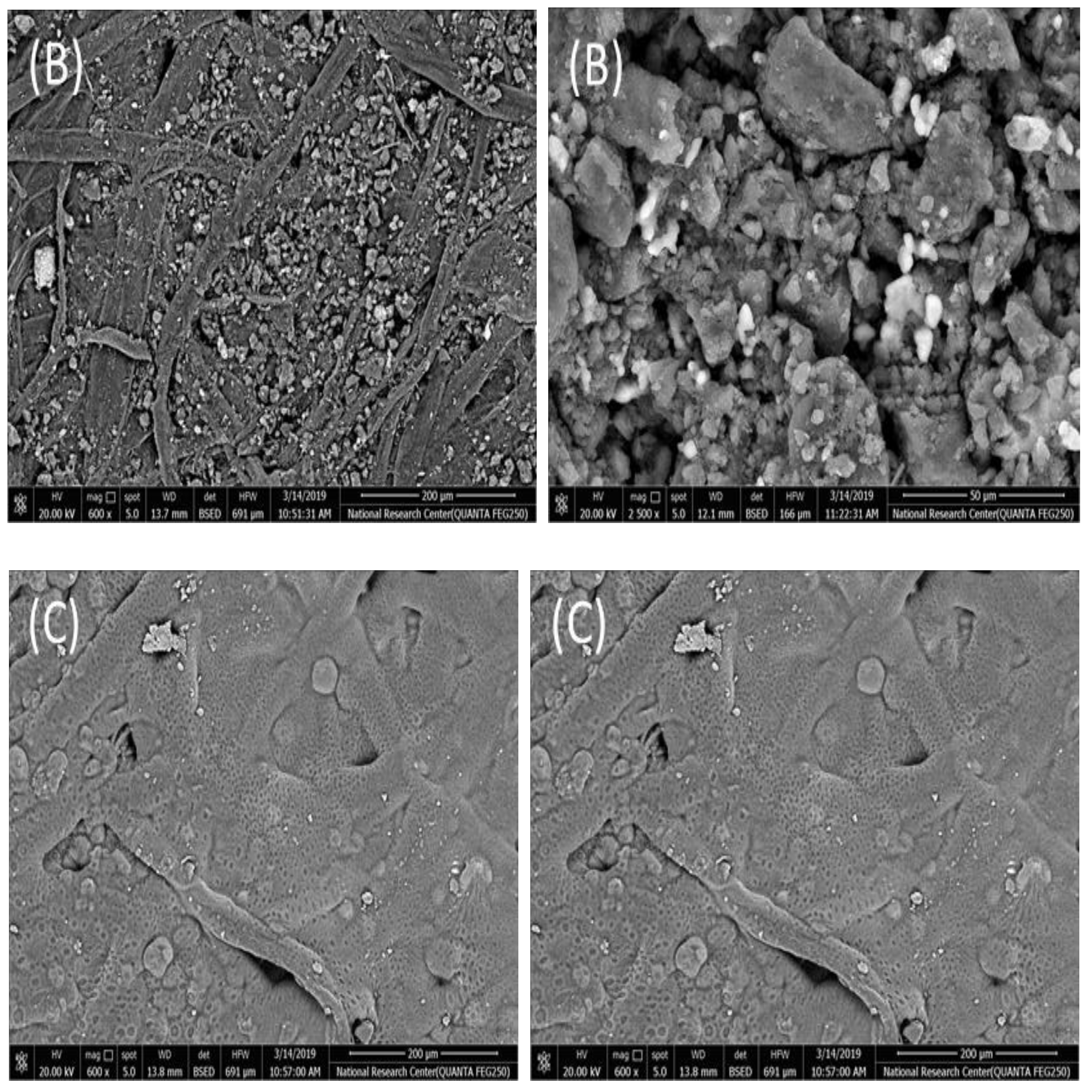 Molecules 25 00629 g001b