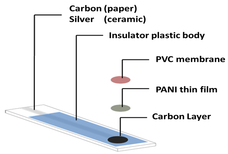 Molecules 25 00629 g008
