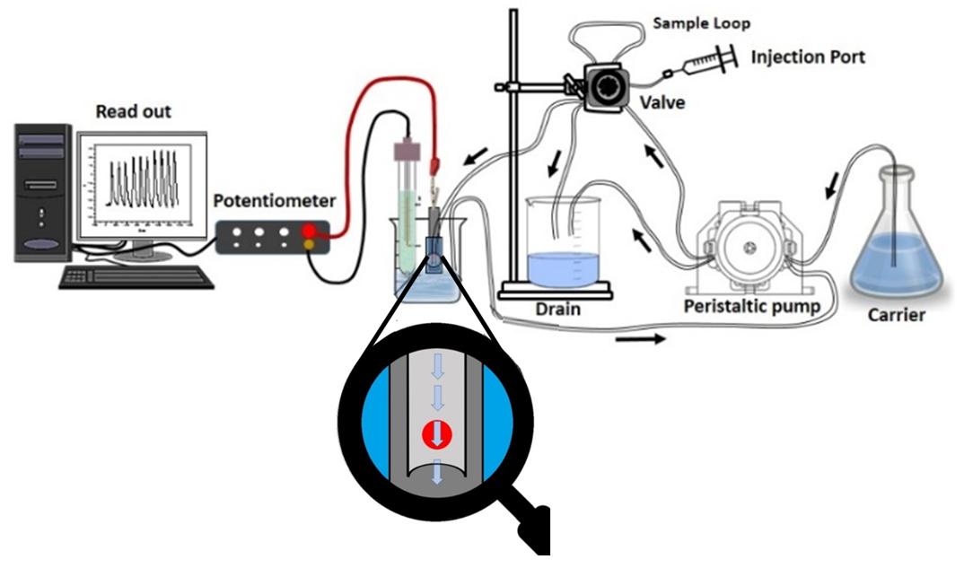 Molecules 25 00629 g009