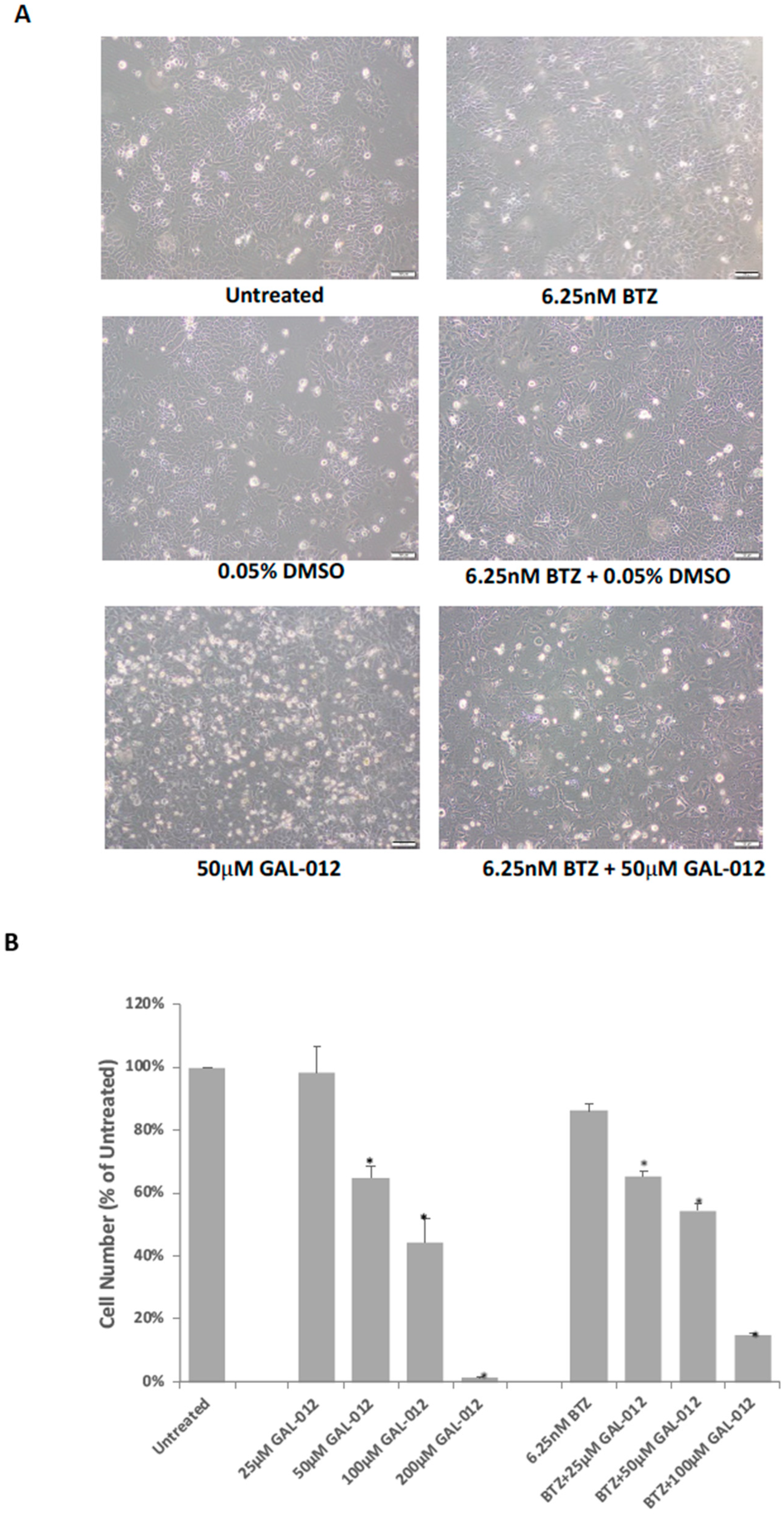 Molecules 25 00645 g007 Molecules 25 00645 g007