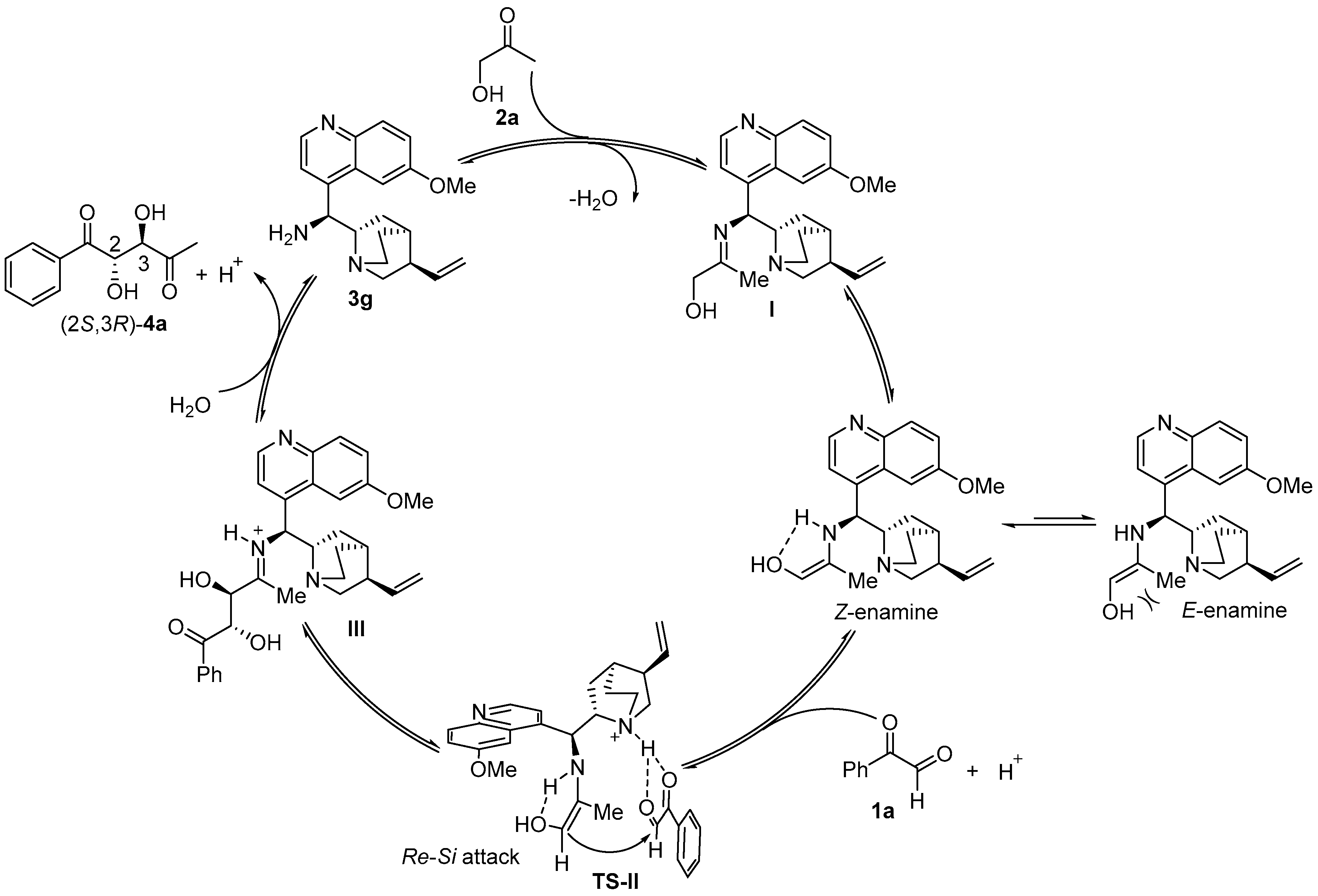 Molecules 25 00648 sch003