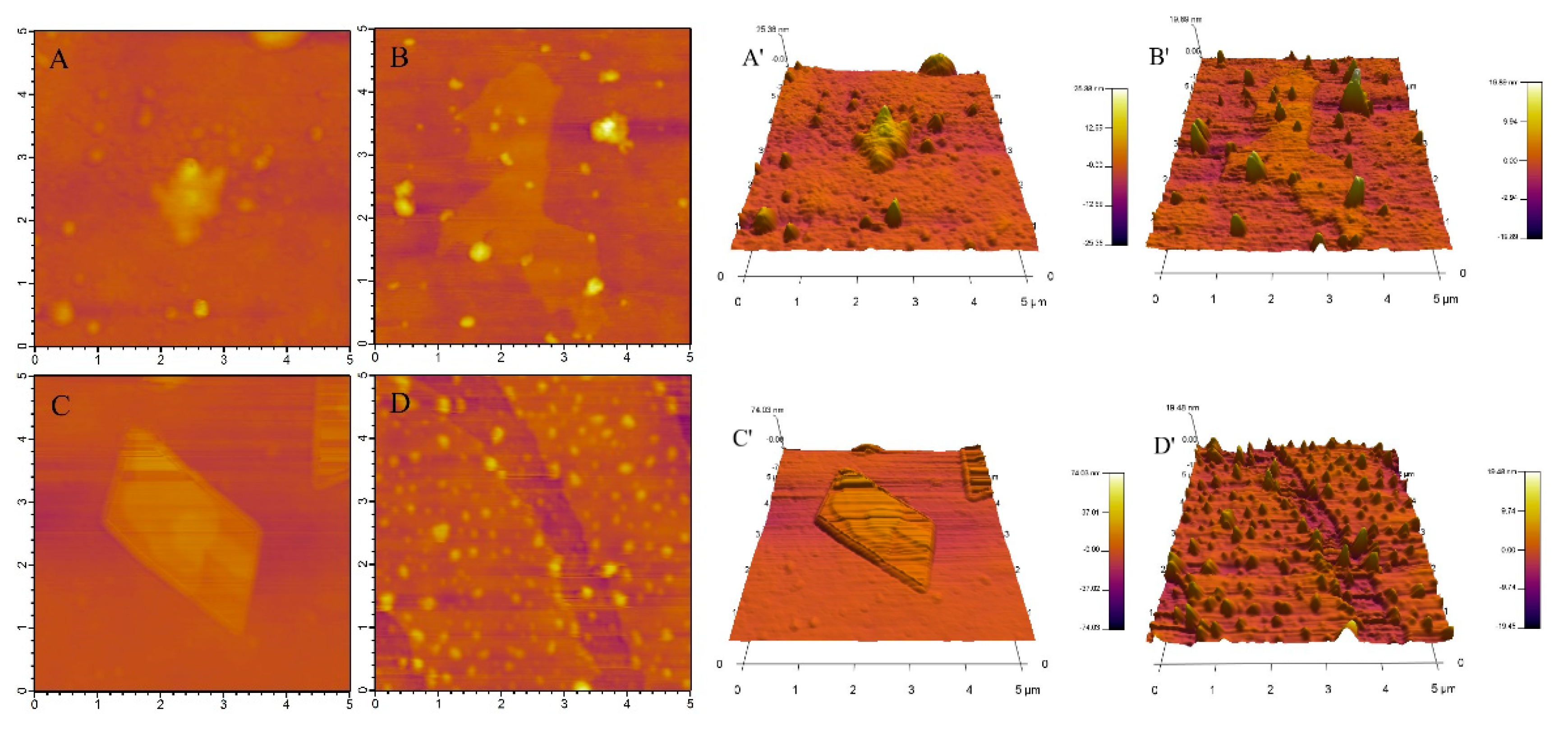 Molecules 25 00654 g004
