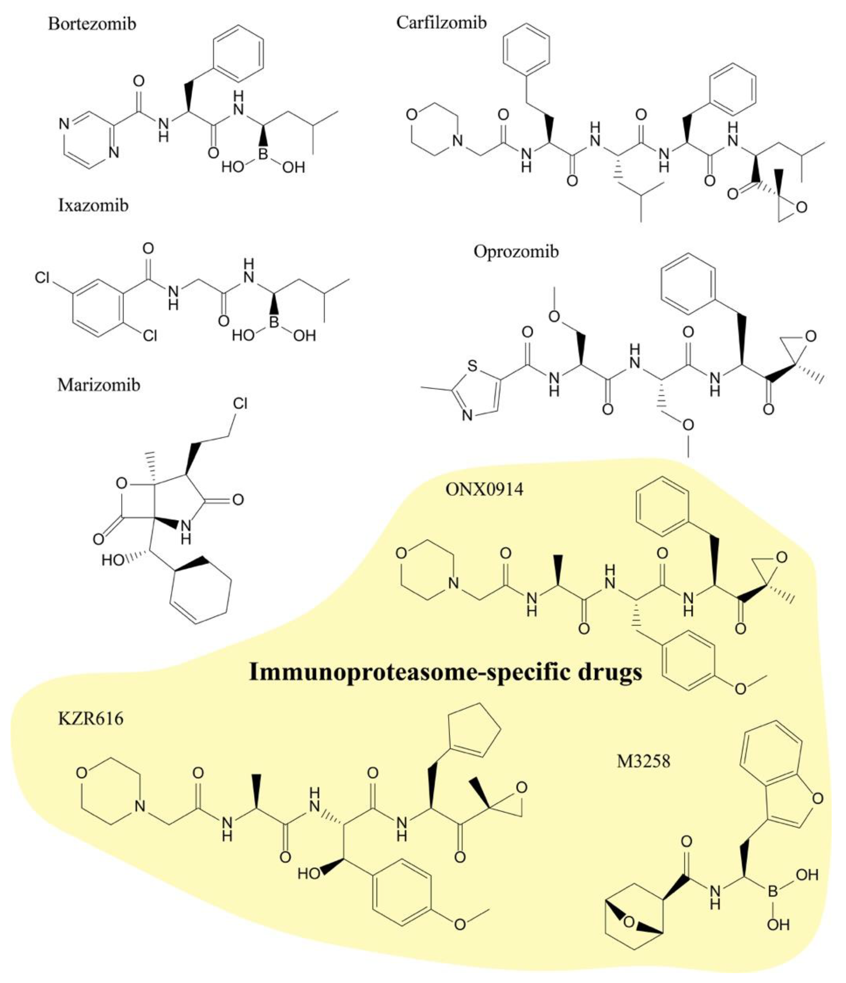 Molecules 25 00671 g002