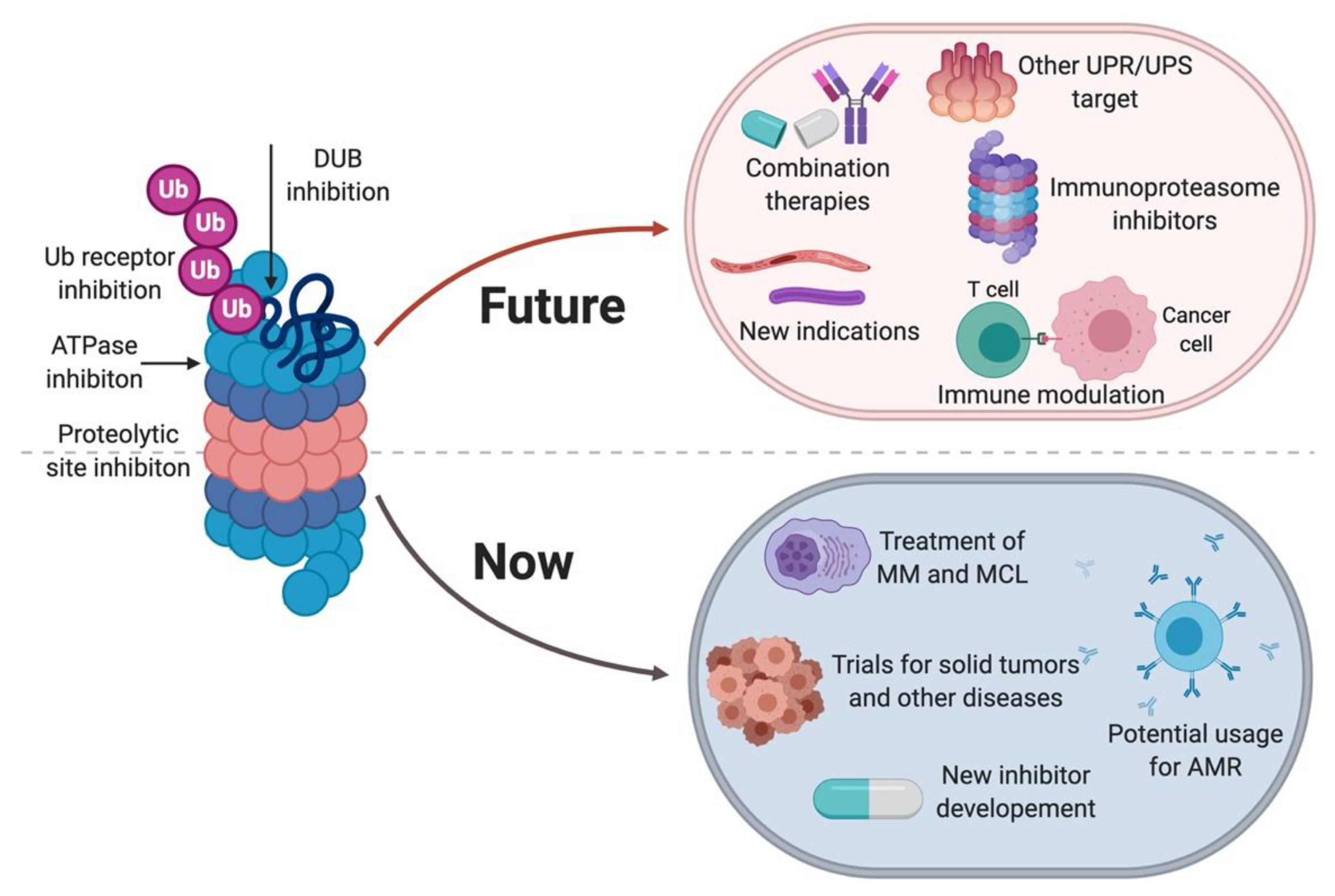 Molecules 25 00671 g004