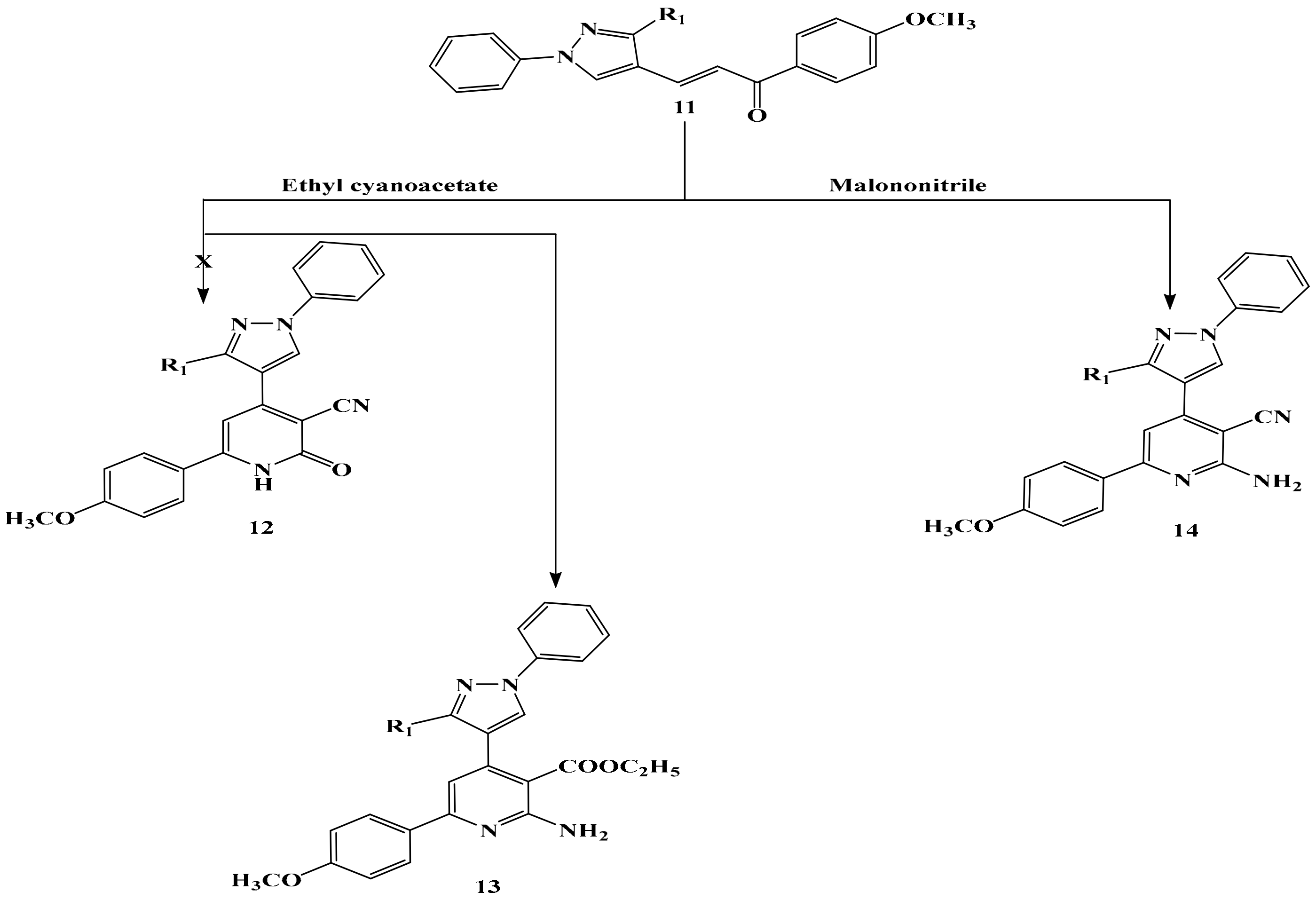 Molecules 25 00672 sch005