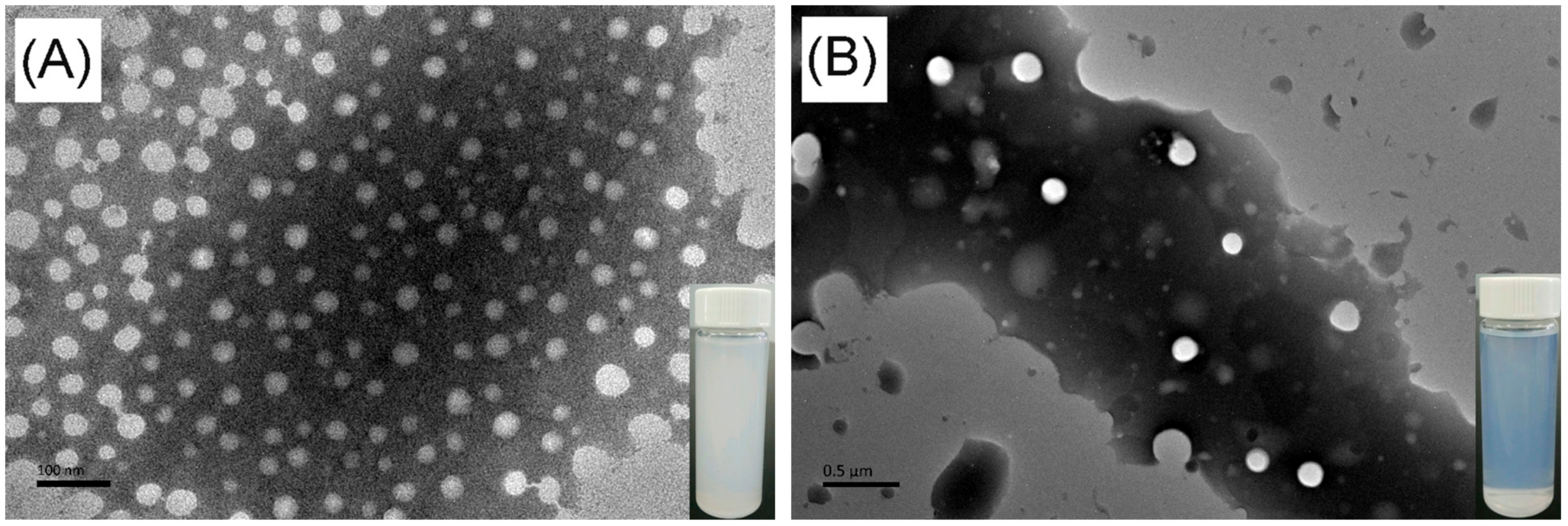 Molecules 25 00687 g007