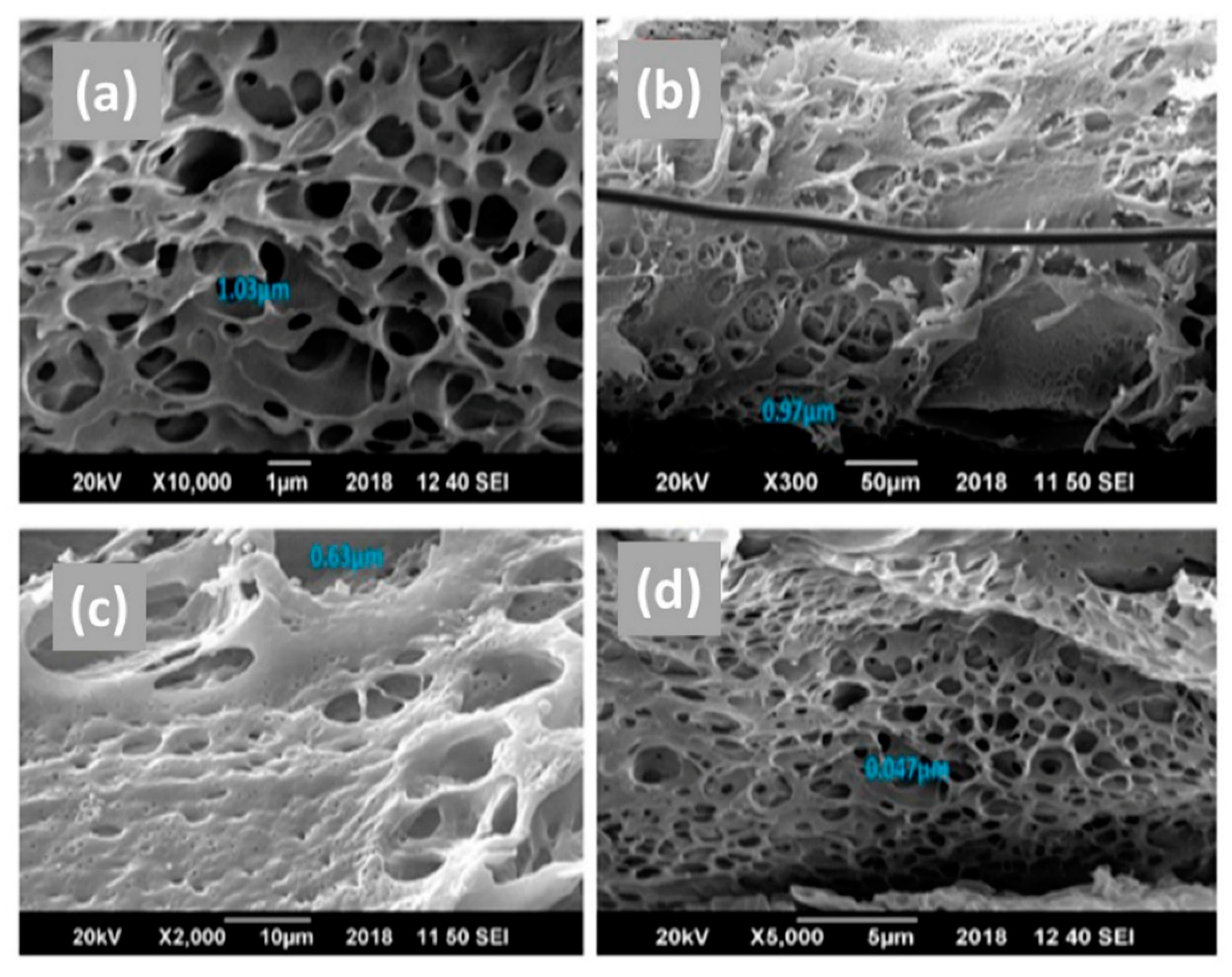 Molecules 25 00691 g003 Molecules 25 00691 g003