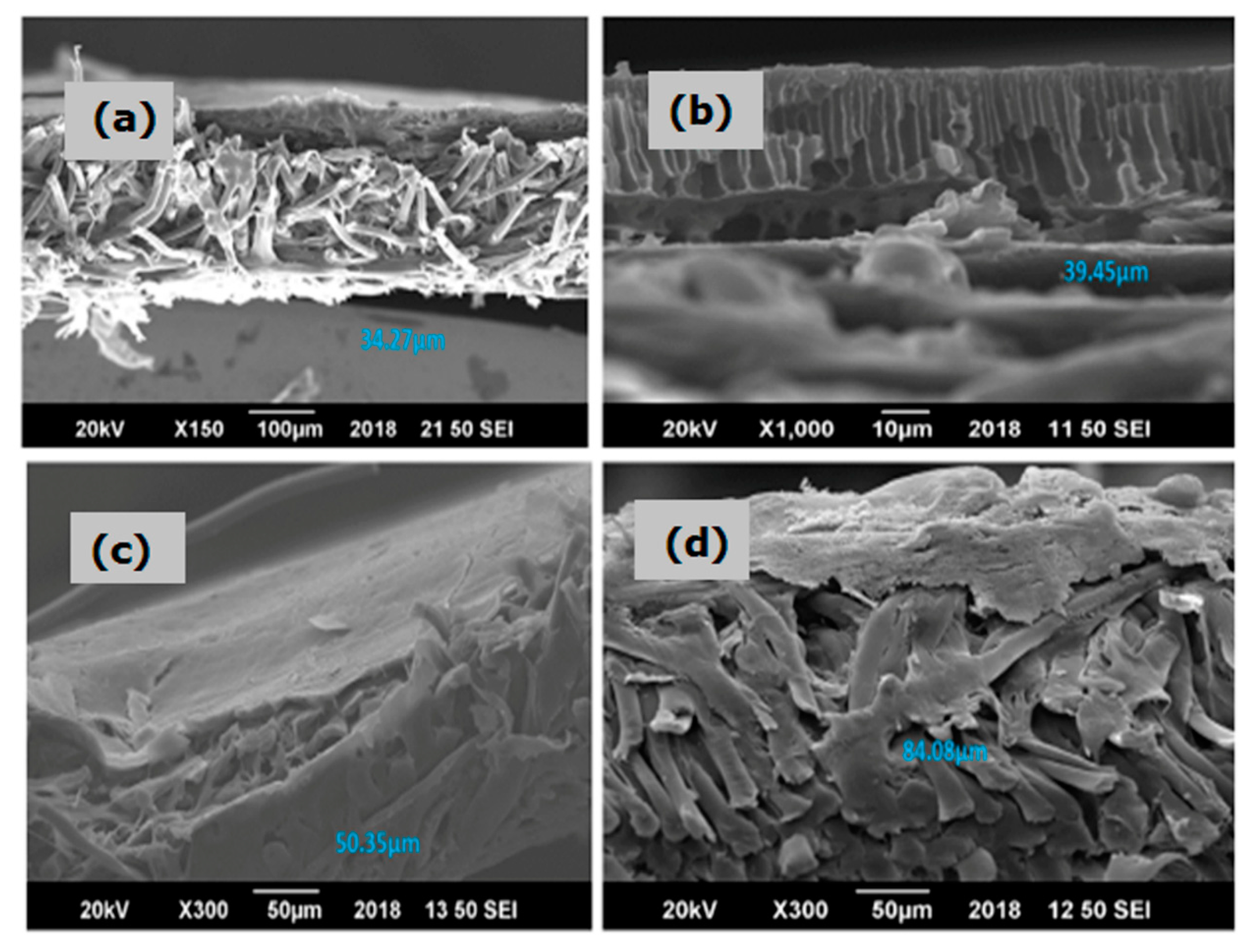 Molecules 25 00691 g004 Molecules 25 00691 g004