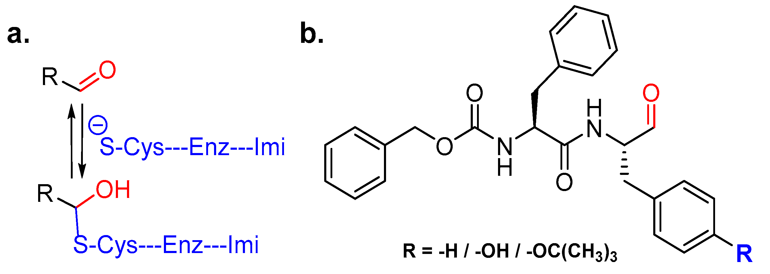 Molecules 25 00698 g012