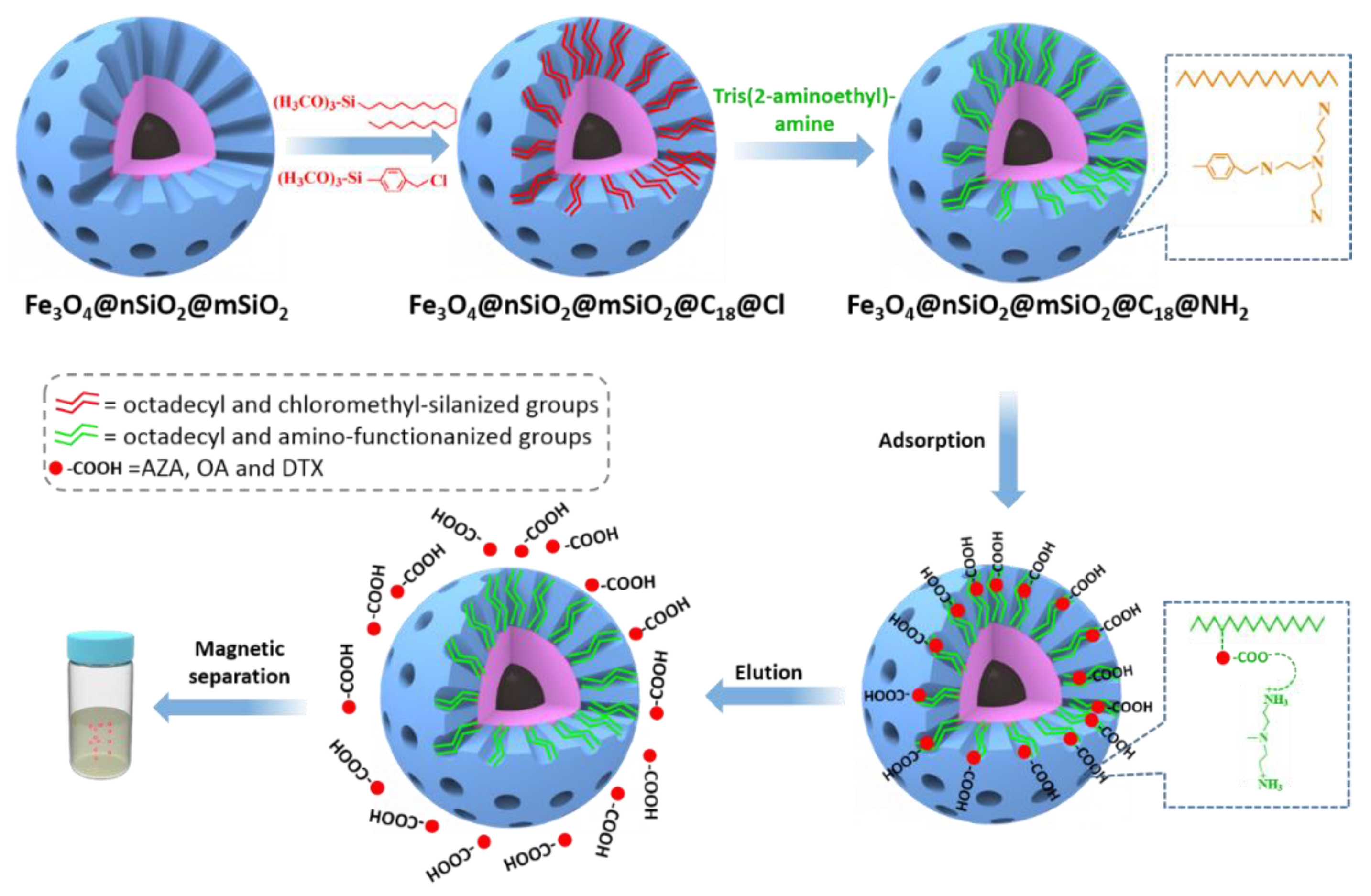 Molecules 25 00702 g006