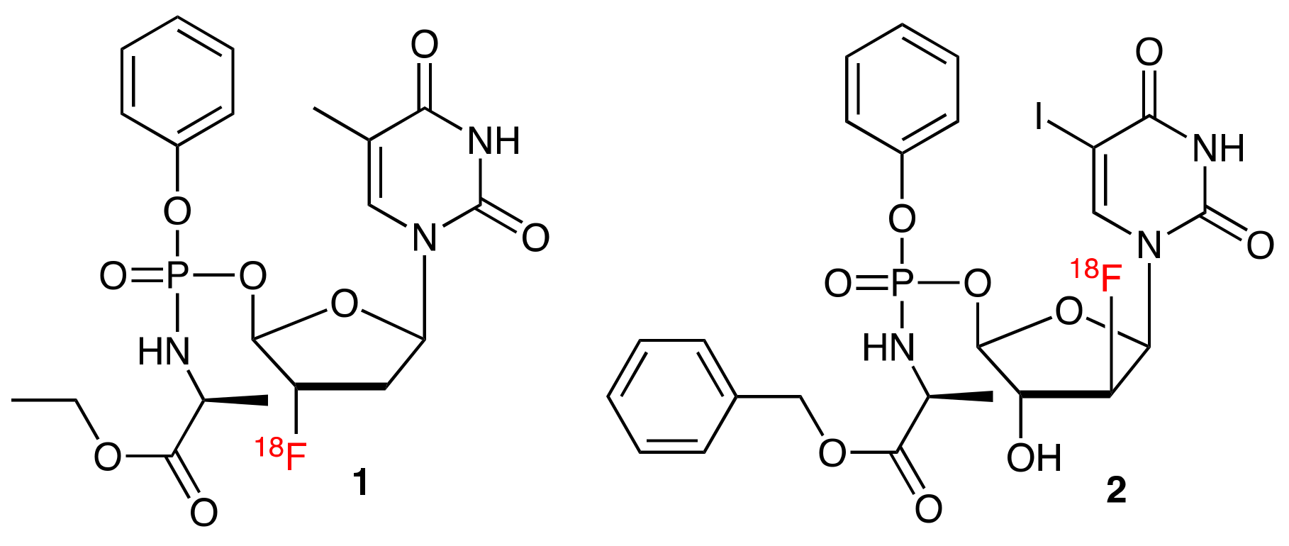 Molecules 25 00704 g001