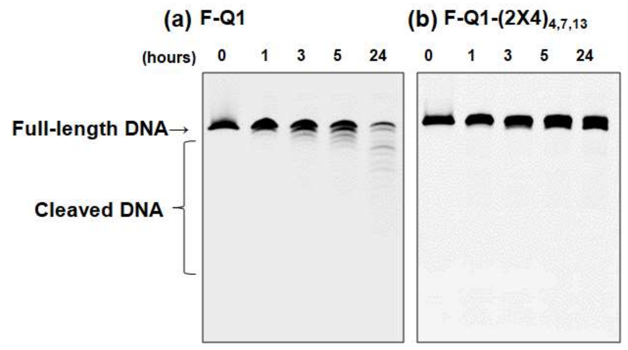 Molecules 25 00705 g006