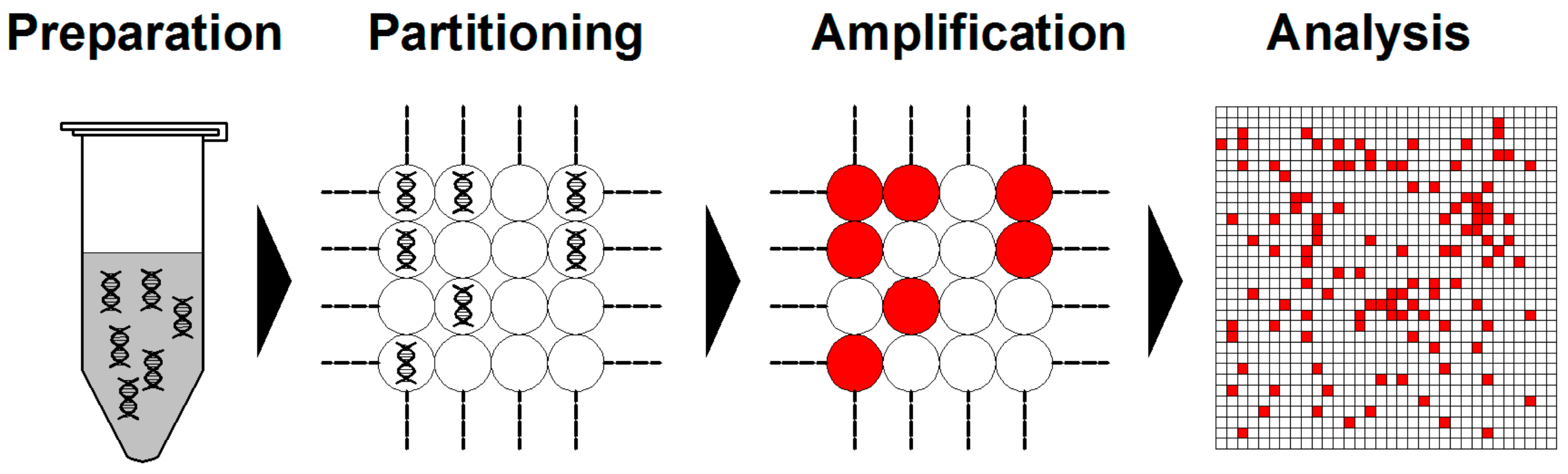 Molecules 25 00706 g003