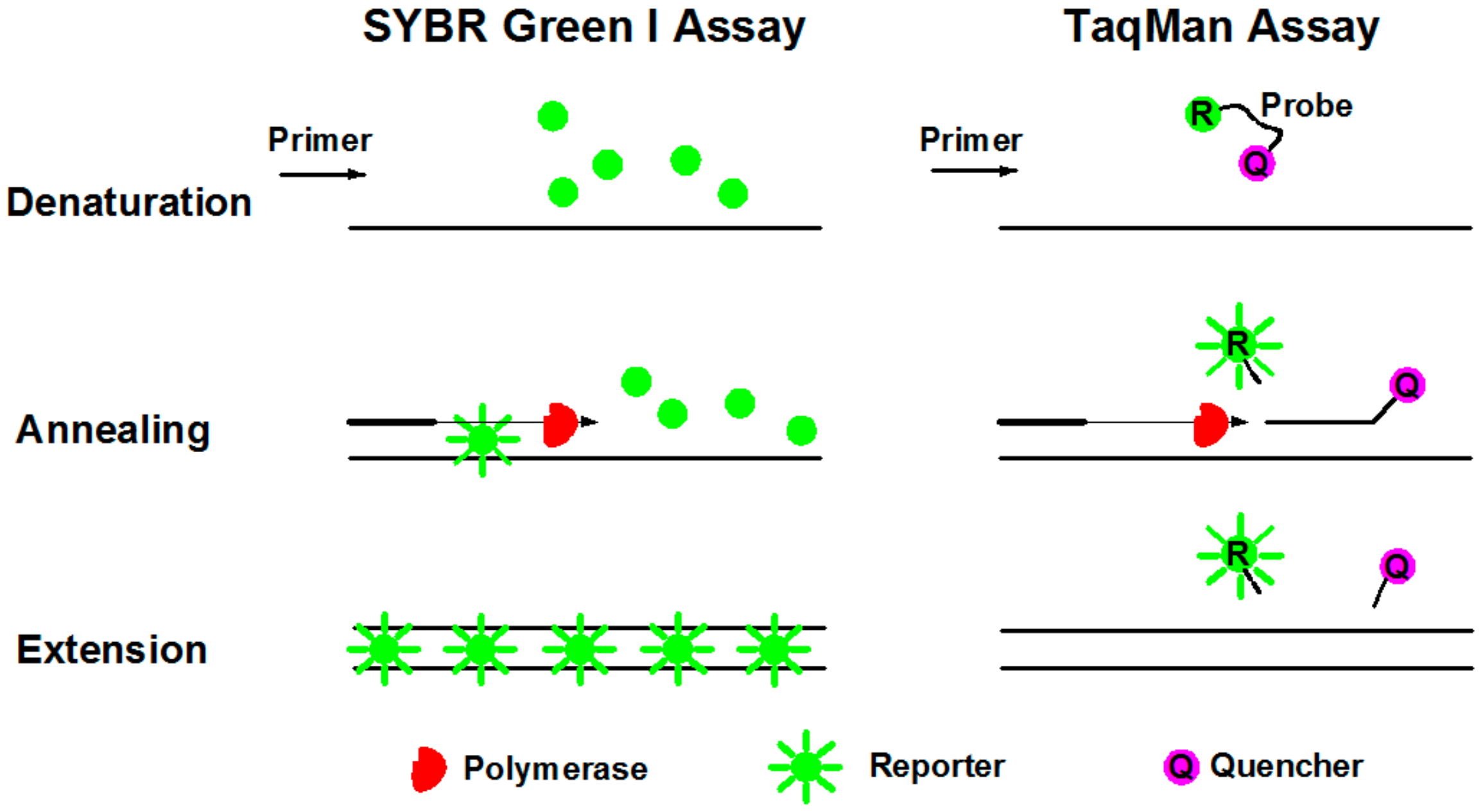 Molecules 25 00706 g005