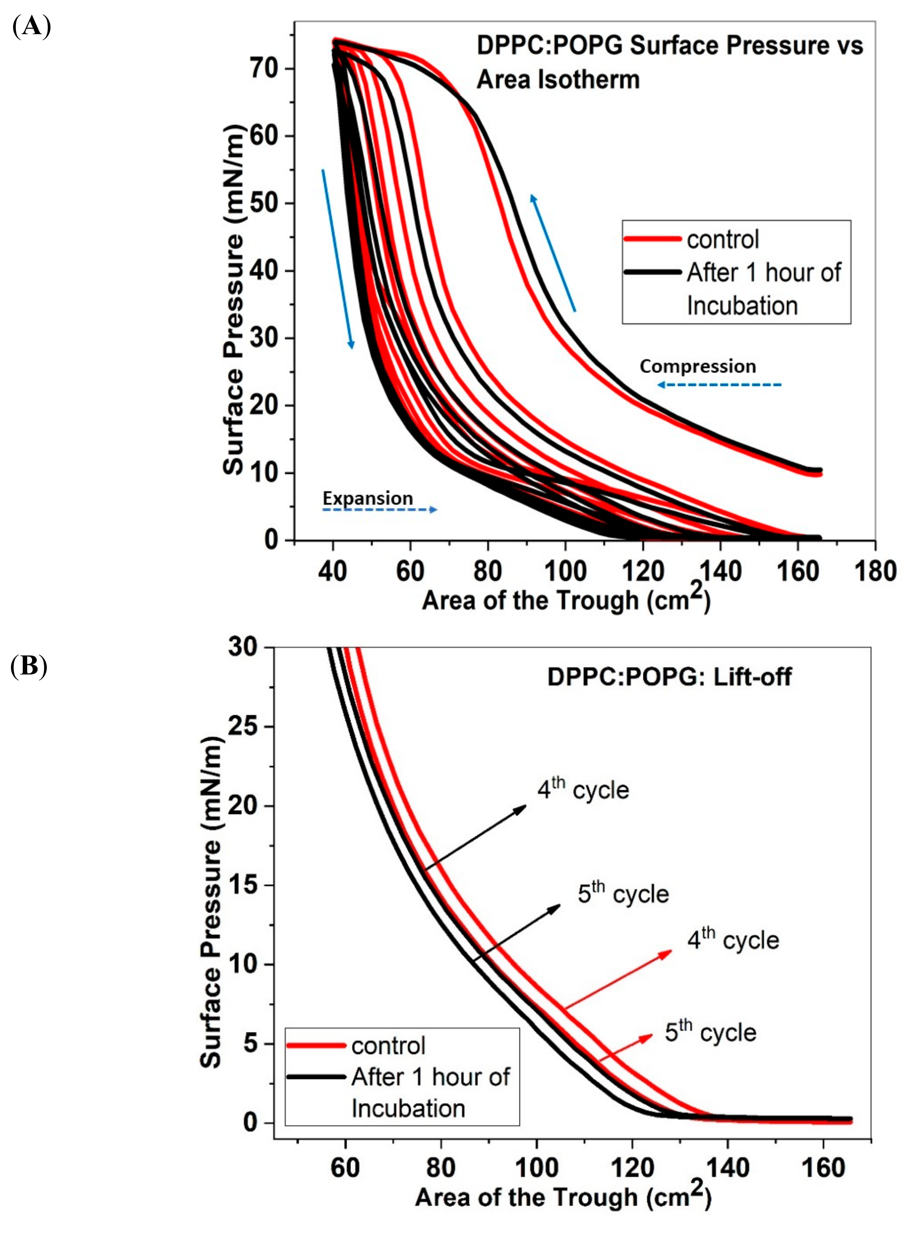 Molecules 25 00714 g001a Molecules 25 00714 g001a