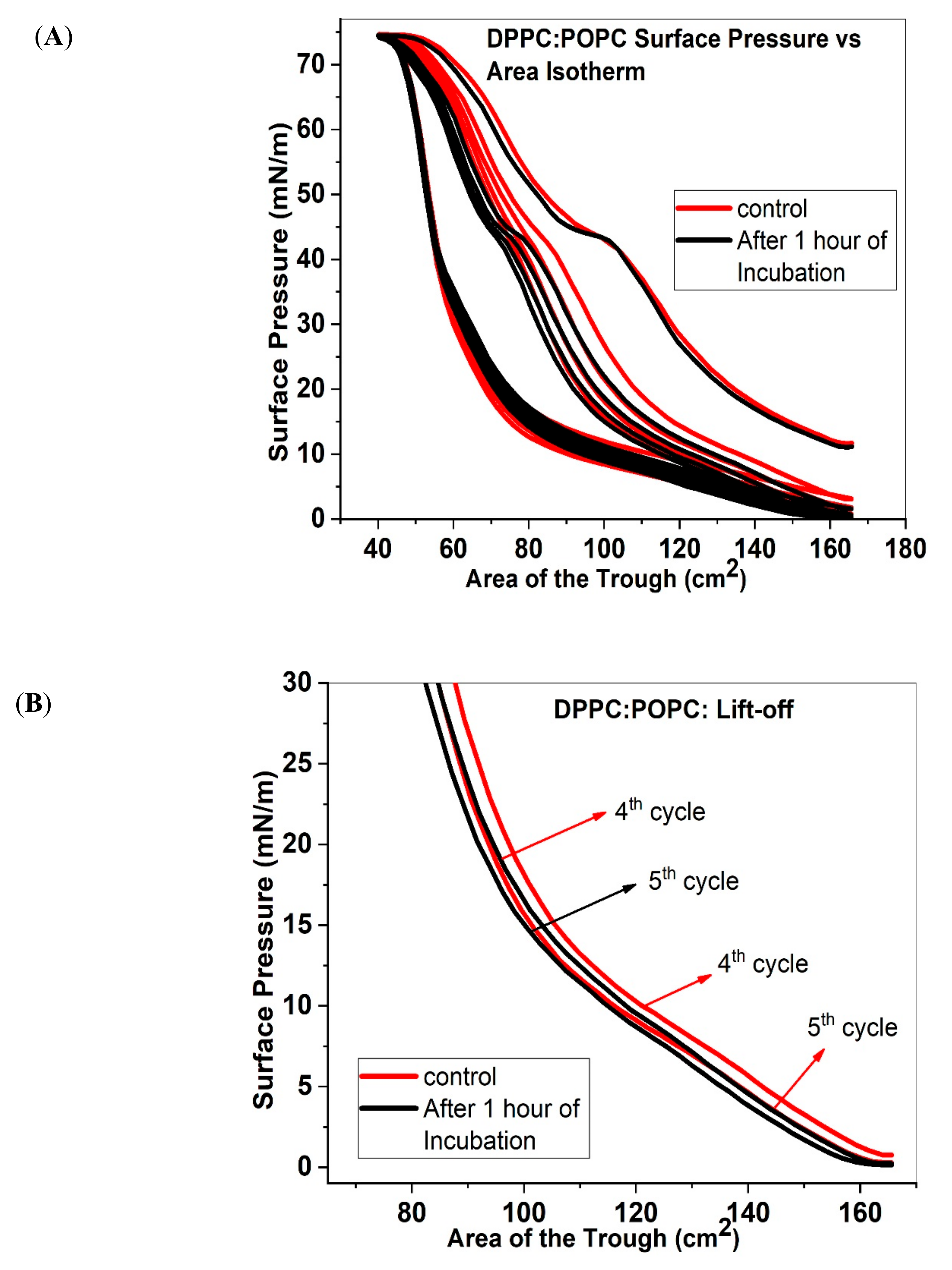 Molecules 25 00714 g003a Molecules 25 00714 g003a