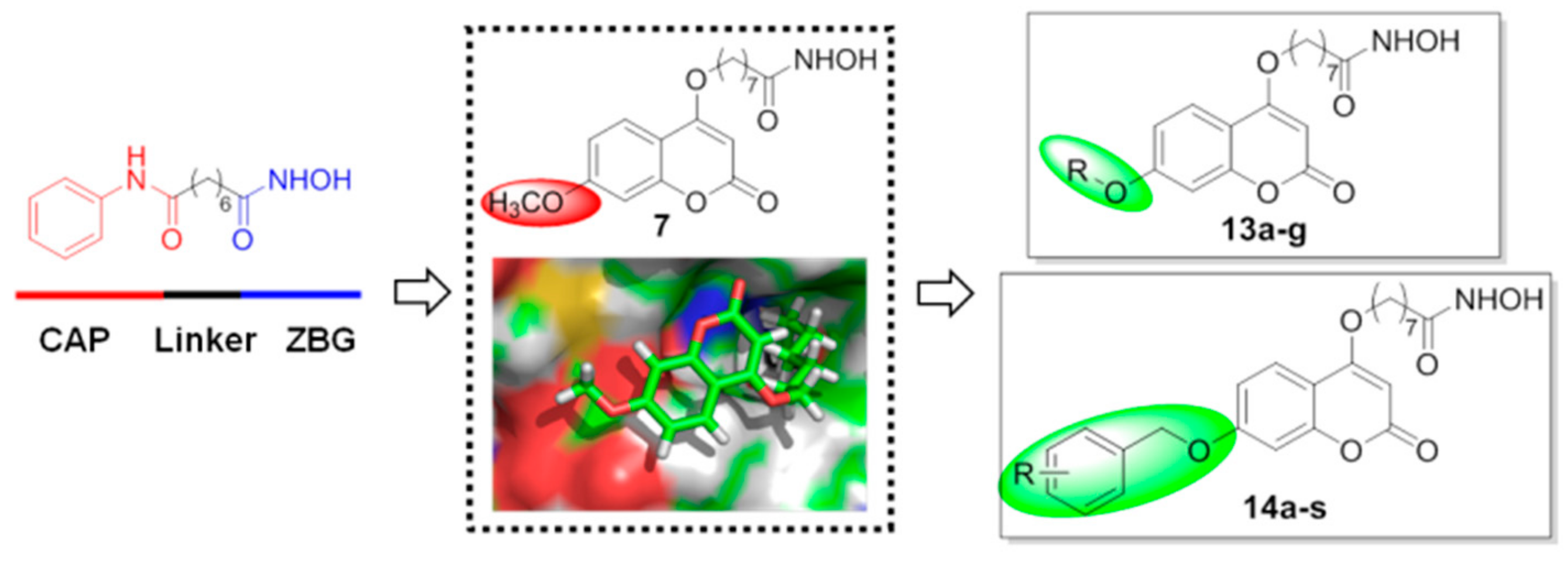 Molecules 25 00717 g002