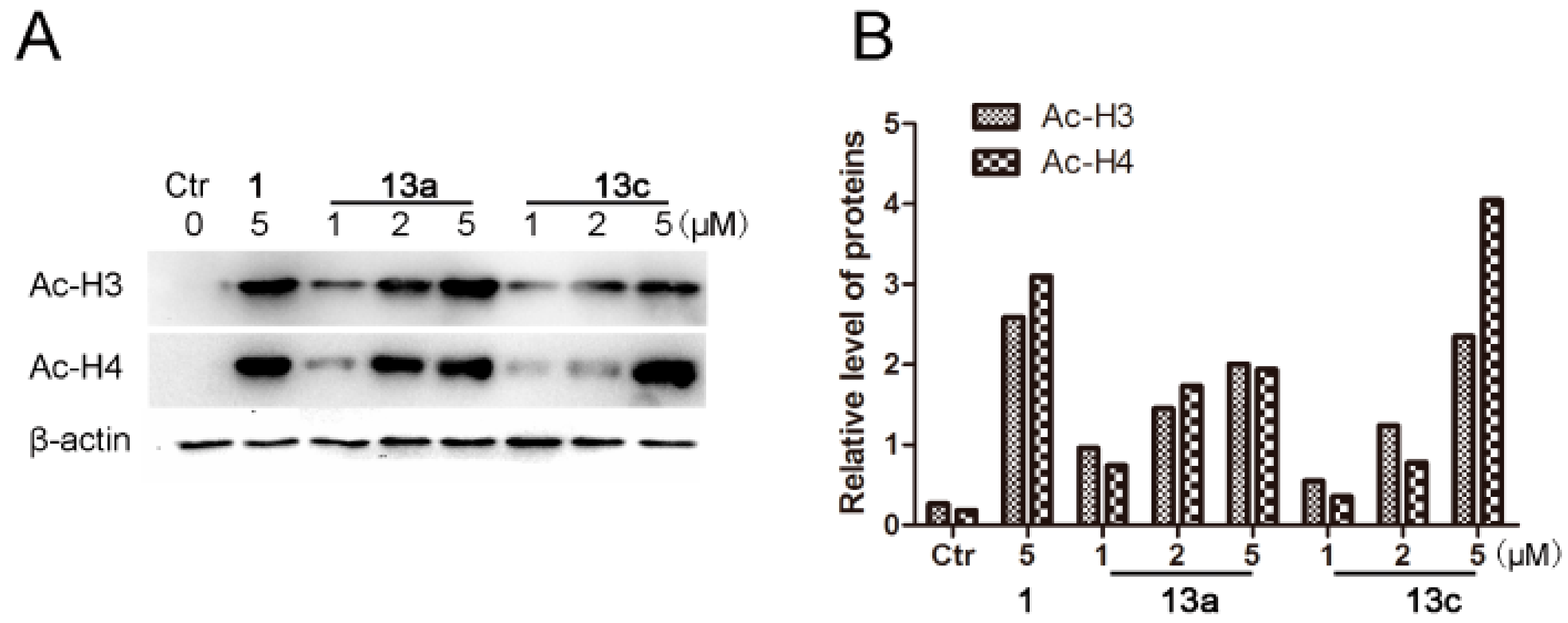 Molecules 25 00717 g004