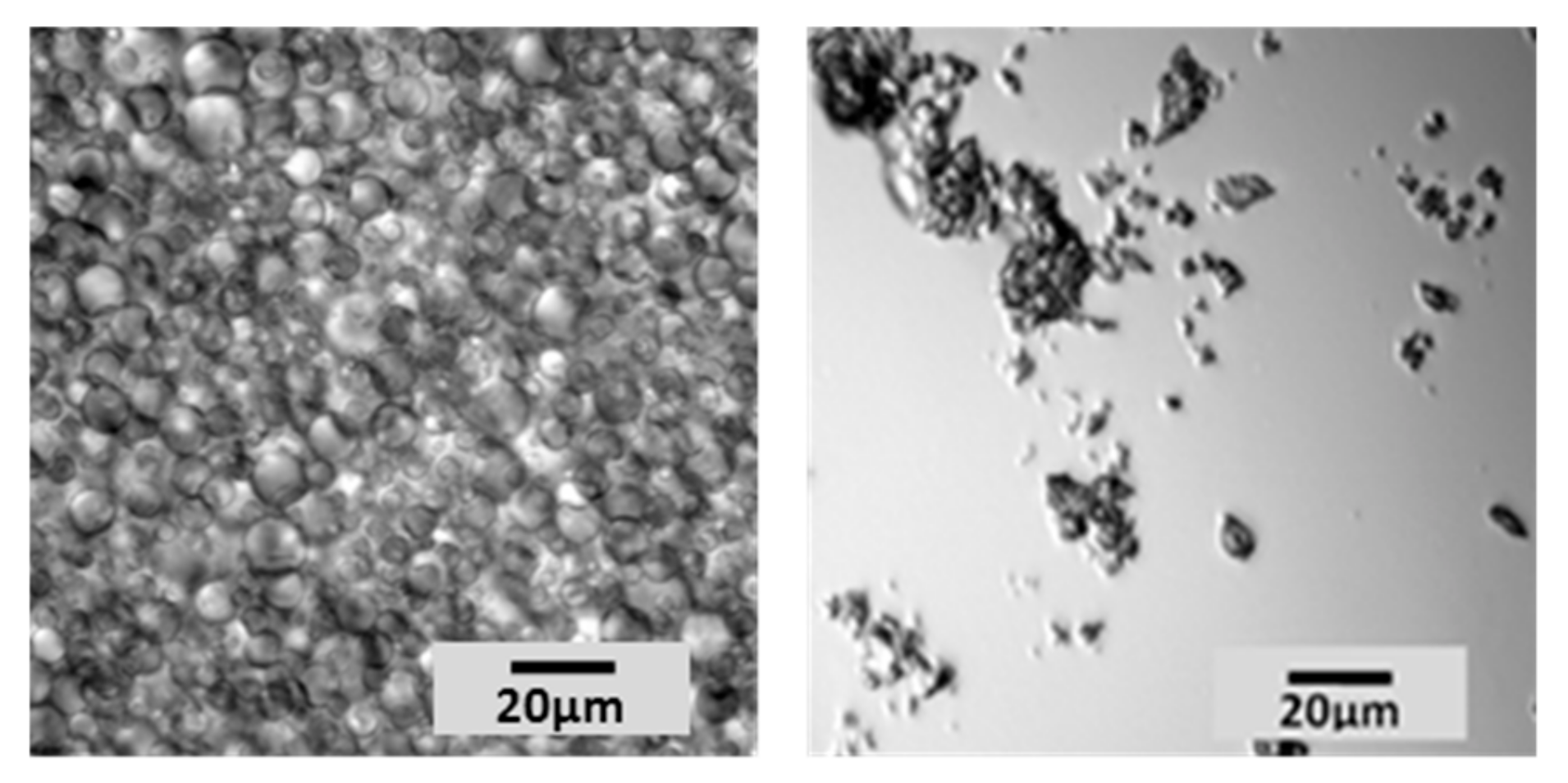 Molecules 25 00718 g002
