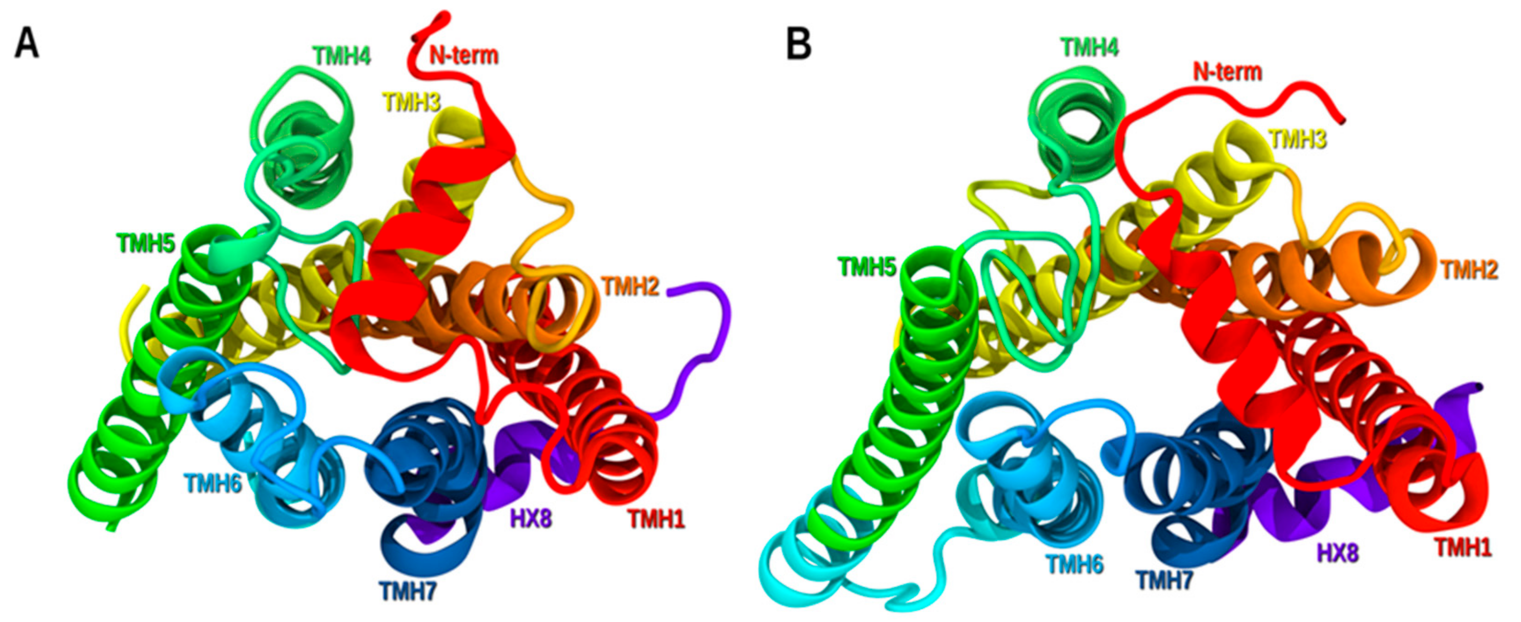 Molecules 25 00725 g003