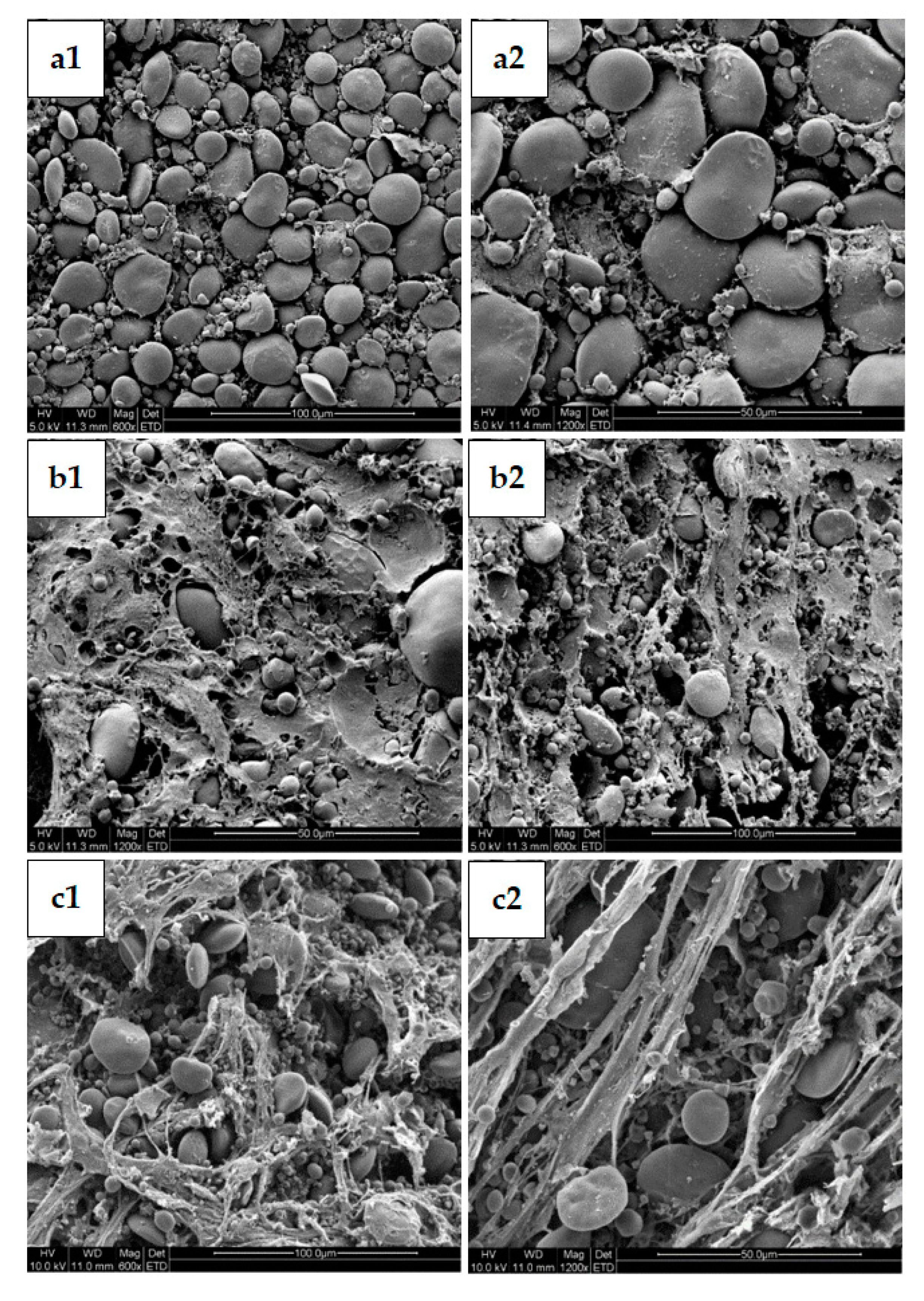 Molecules 25 00726 g007 Molecules 25 00726 g007