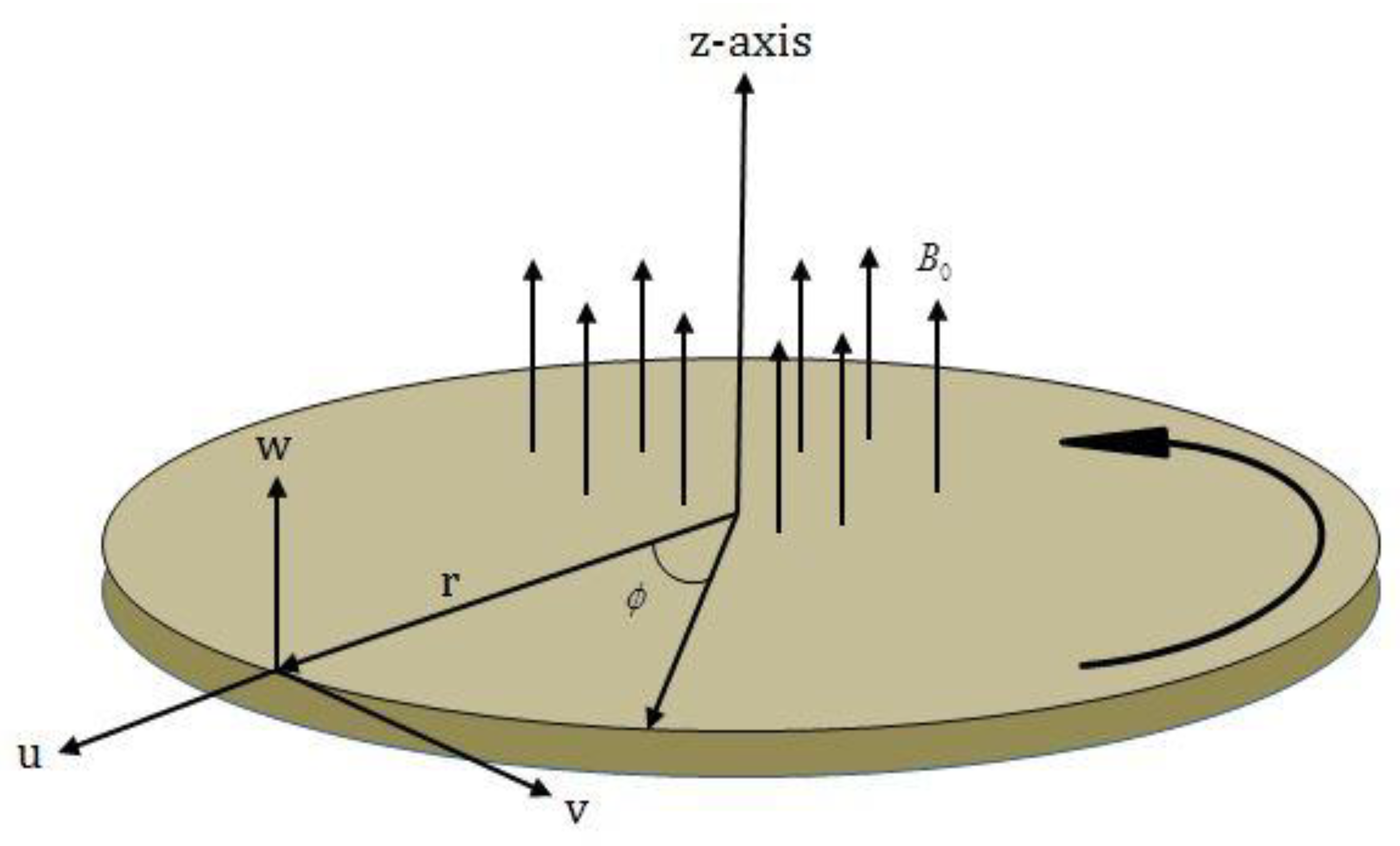 Molecules 25 00729 g001