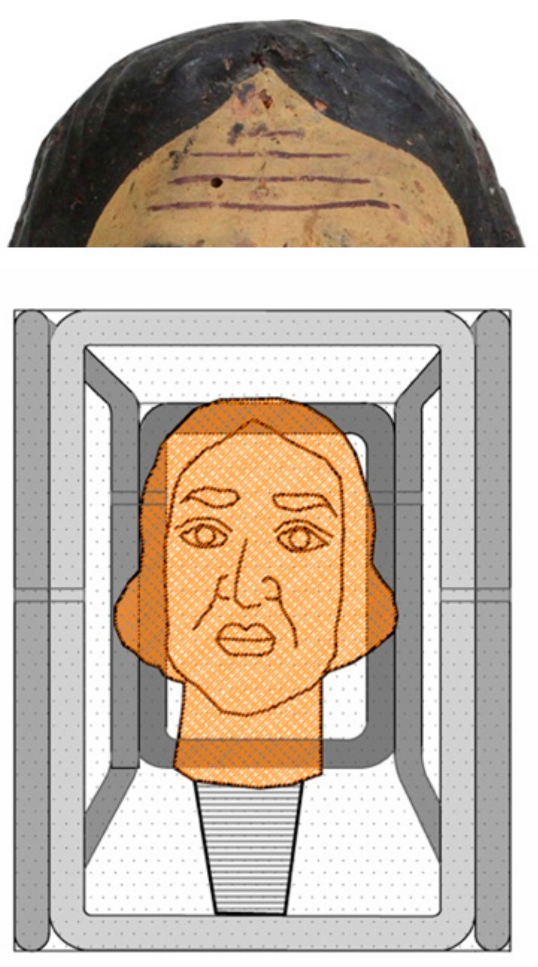 Molecules 25 00730 g005