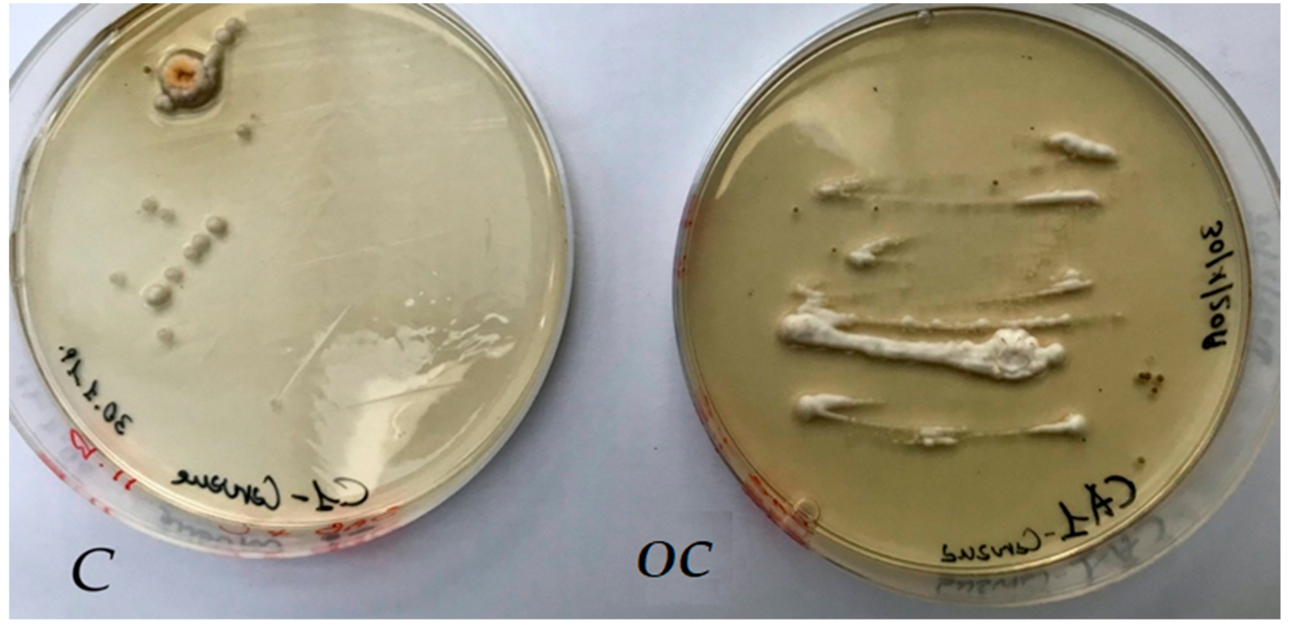 Molecules 25 00730 g006