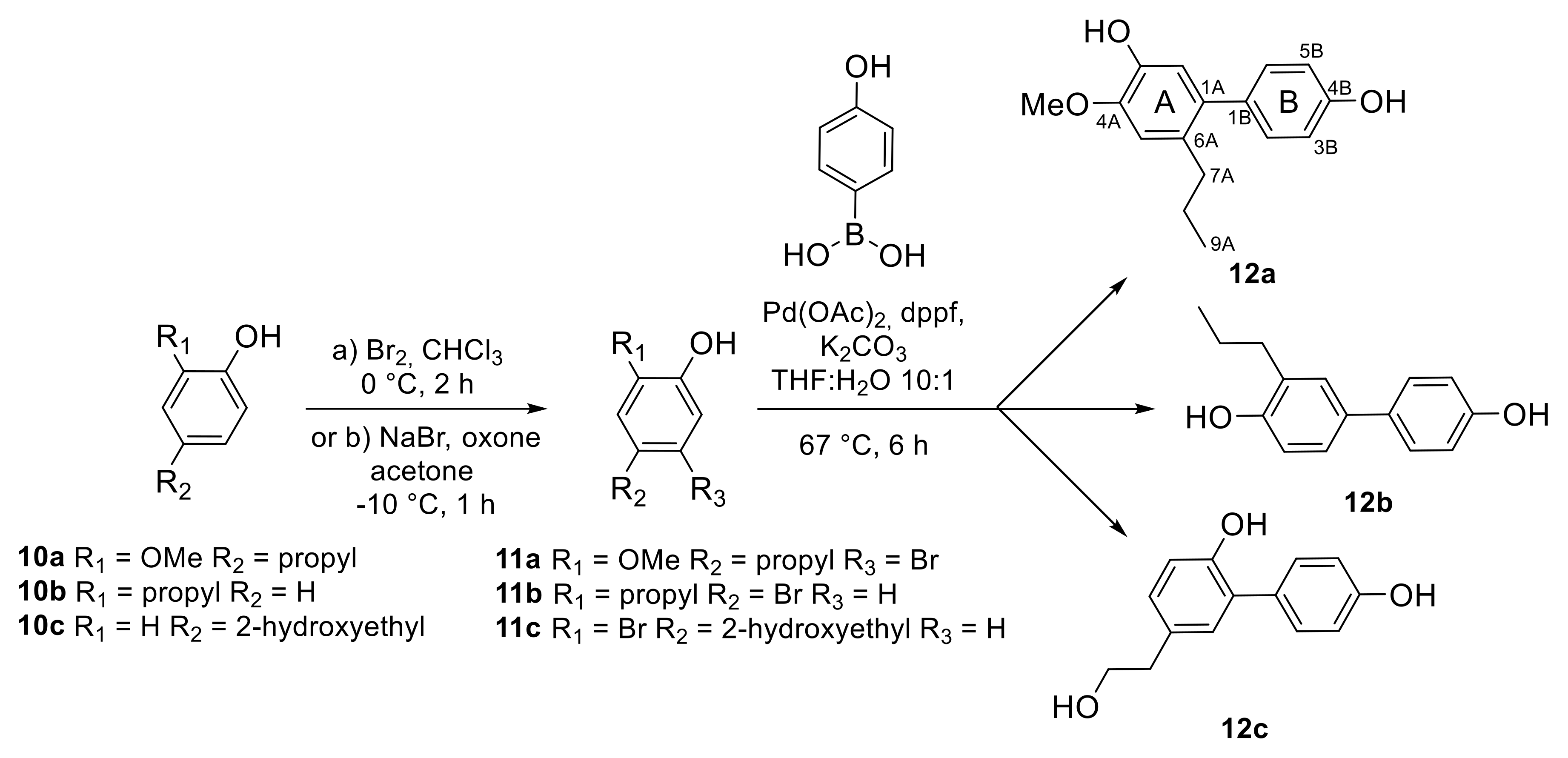 Molecules 25 00733 sch002 Molecules 25 00733 sch002