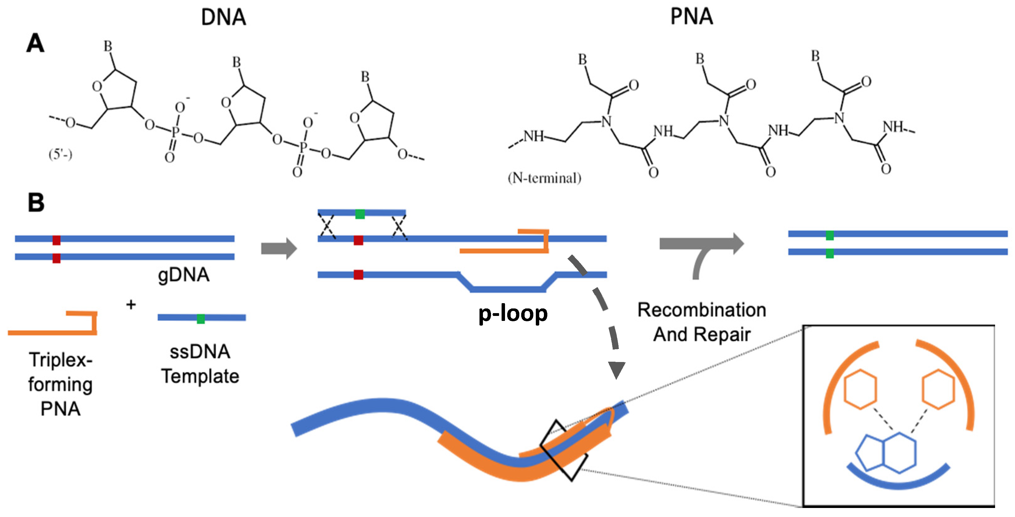 Molecules 25 00735 g001