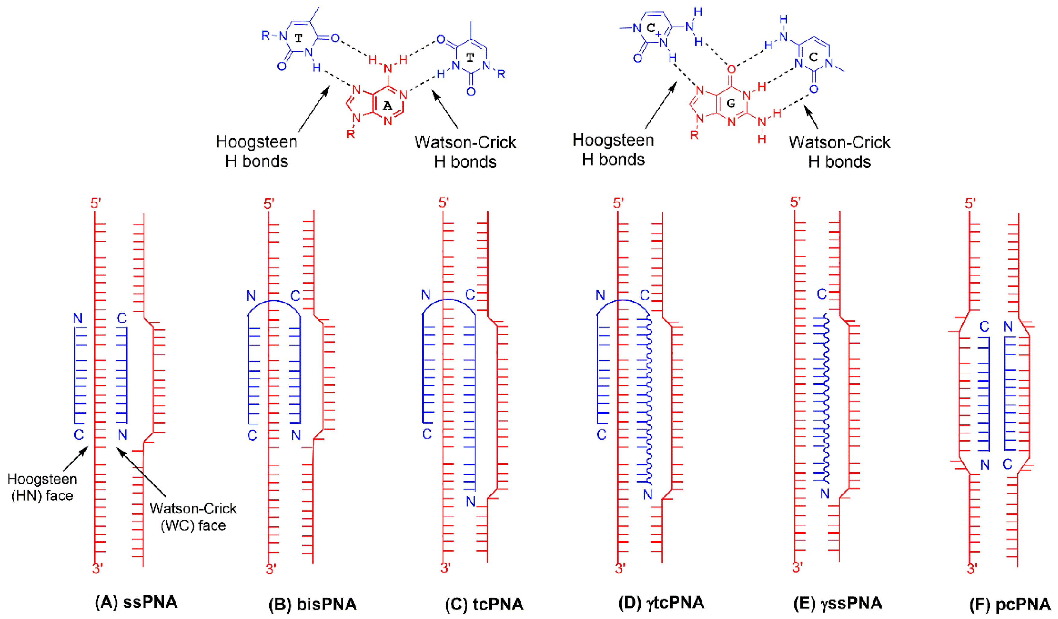 Molecules 25 00735 g002