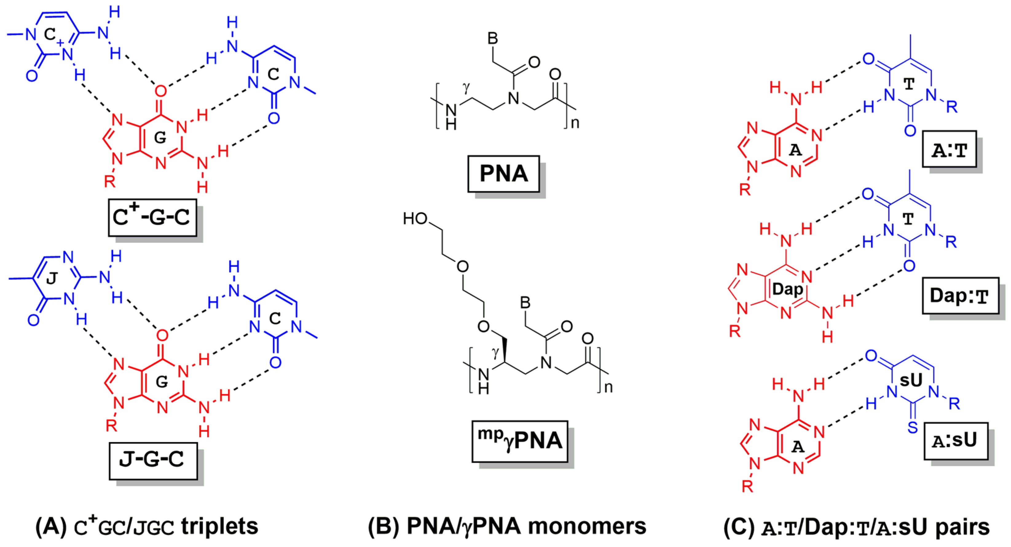 Molecules 25 00735 g003