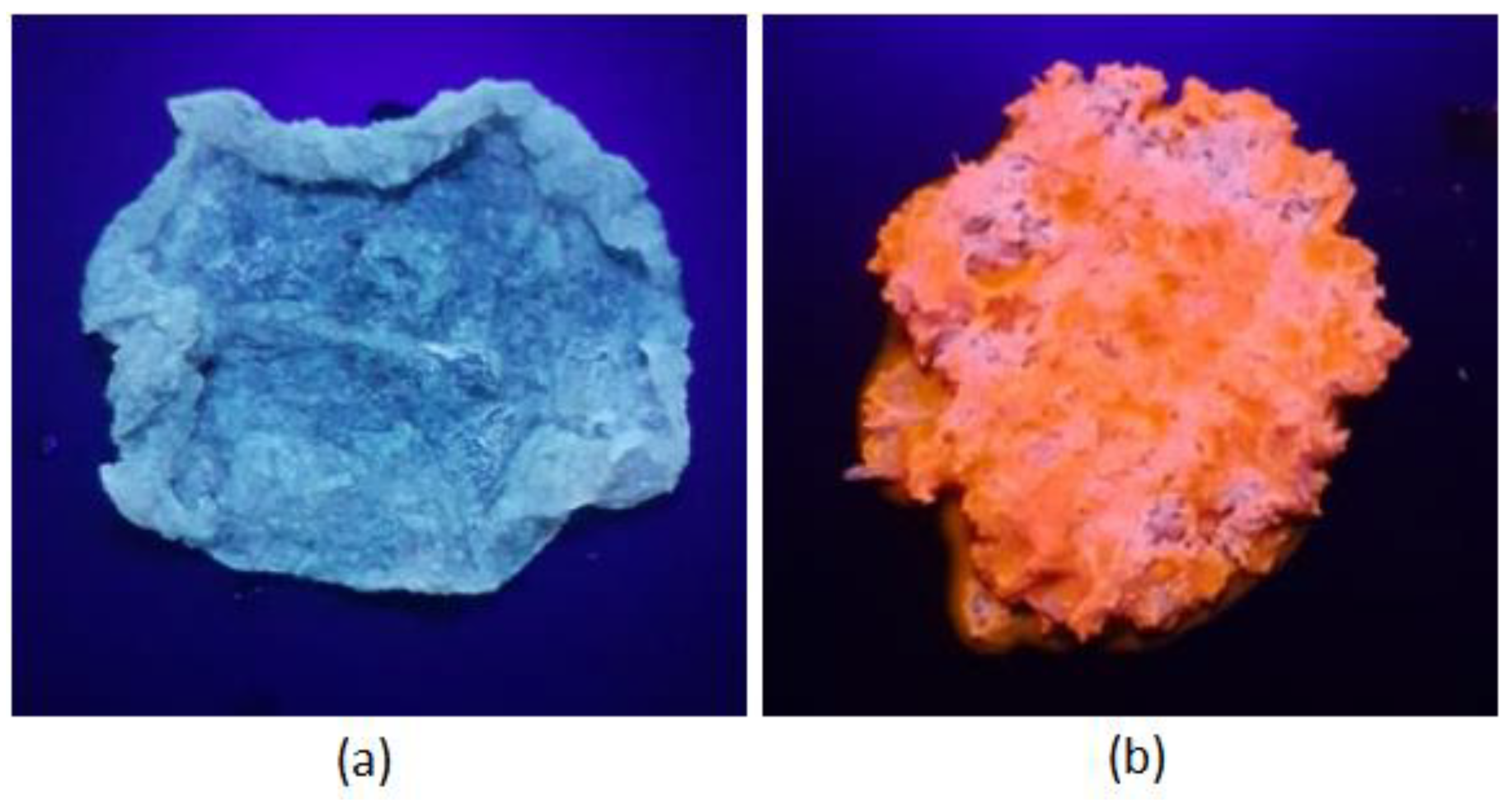 Molecules 25 00736 g006