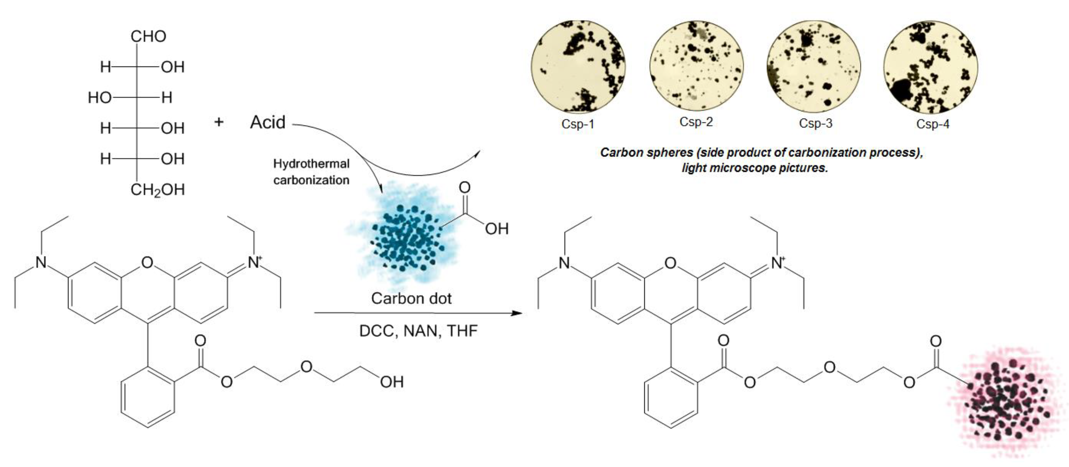 Molecules 25 00736 sch002