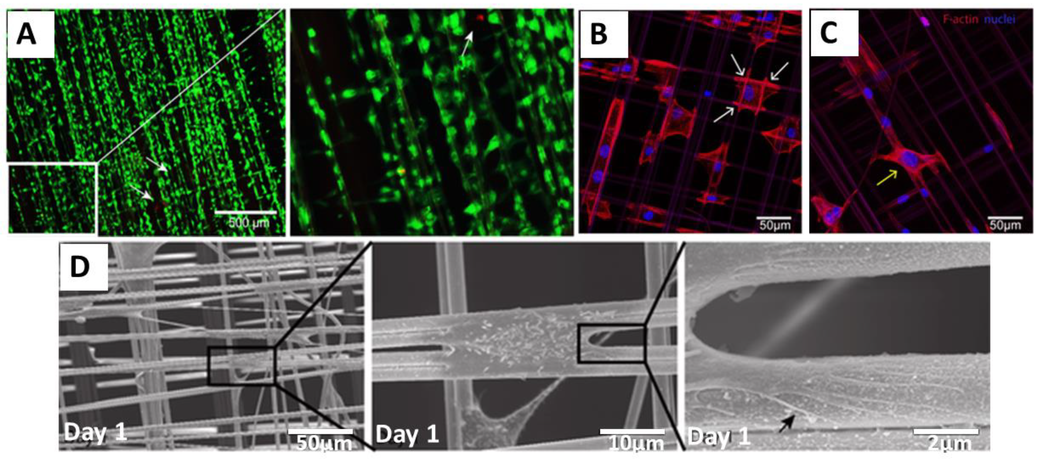 Molecules 25 00737 g002