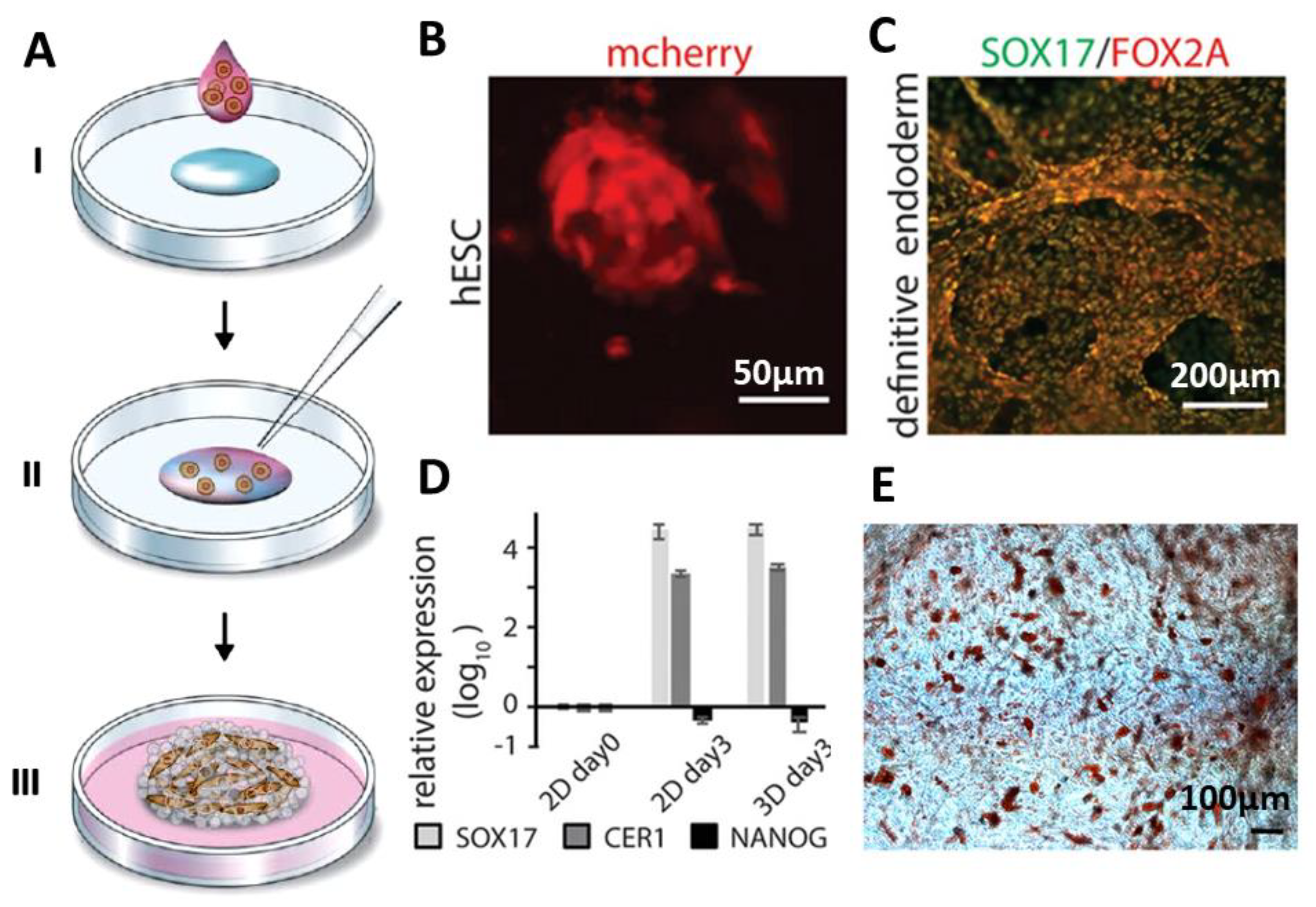Molecules 25 00737 g004