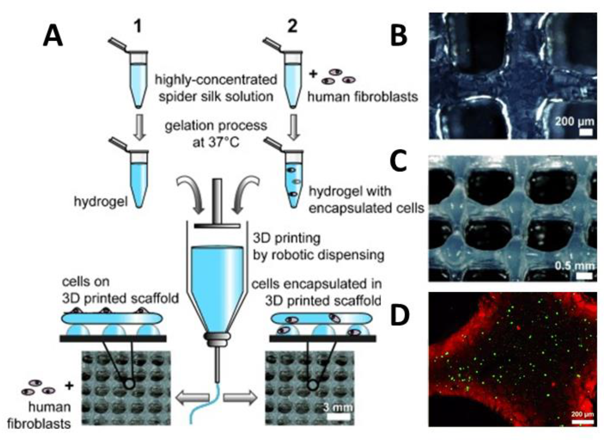 Molecules 25 00737 g006