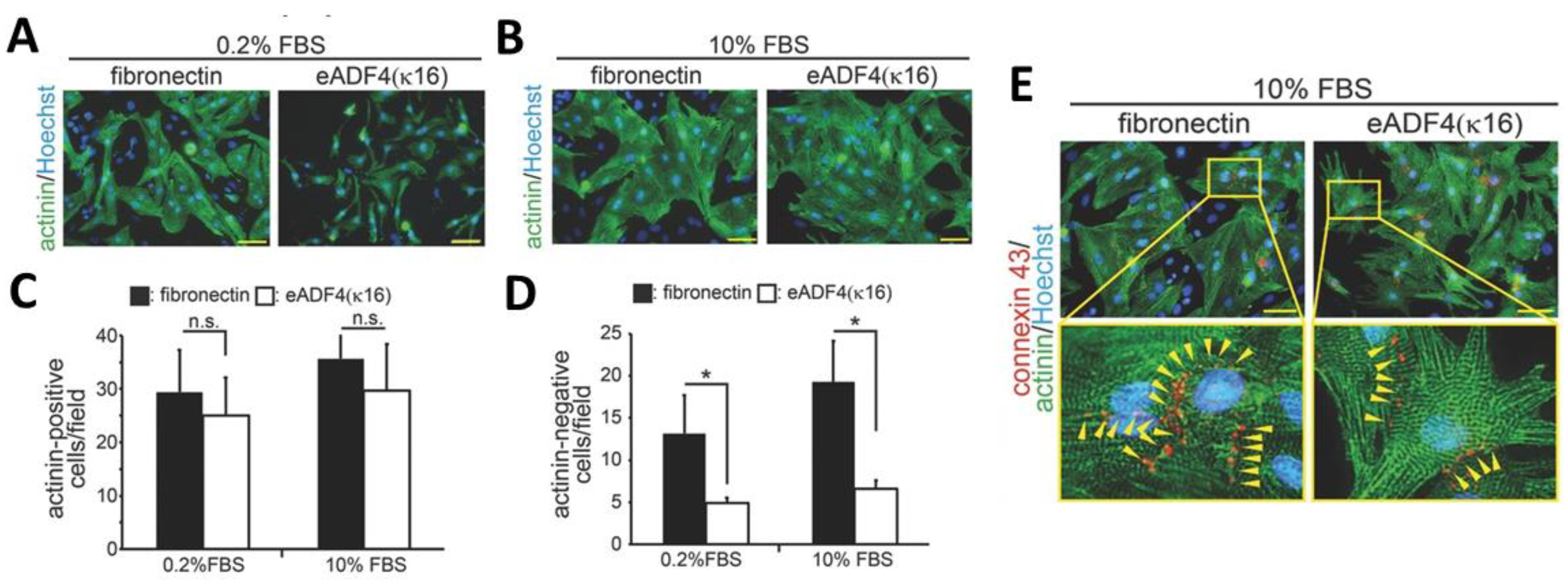Molecules 25 00737 g007