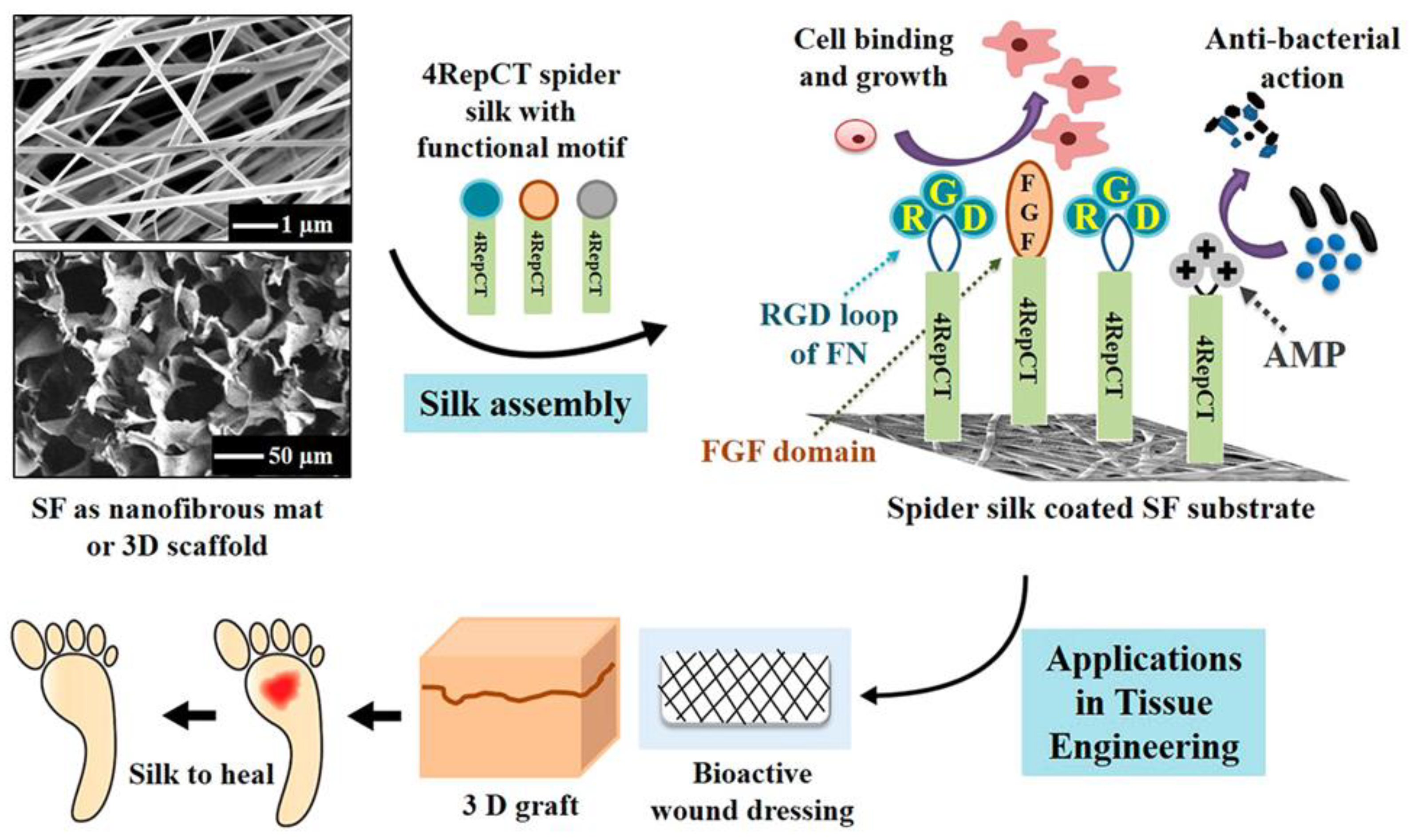 Molecules 25 00737 g008