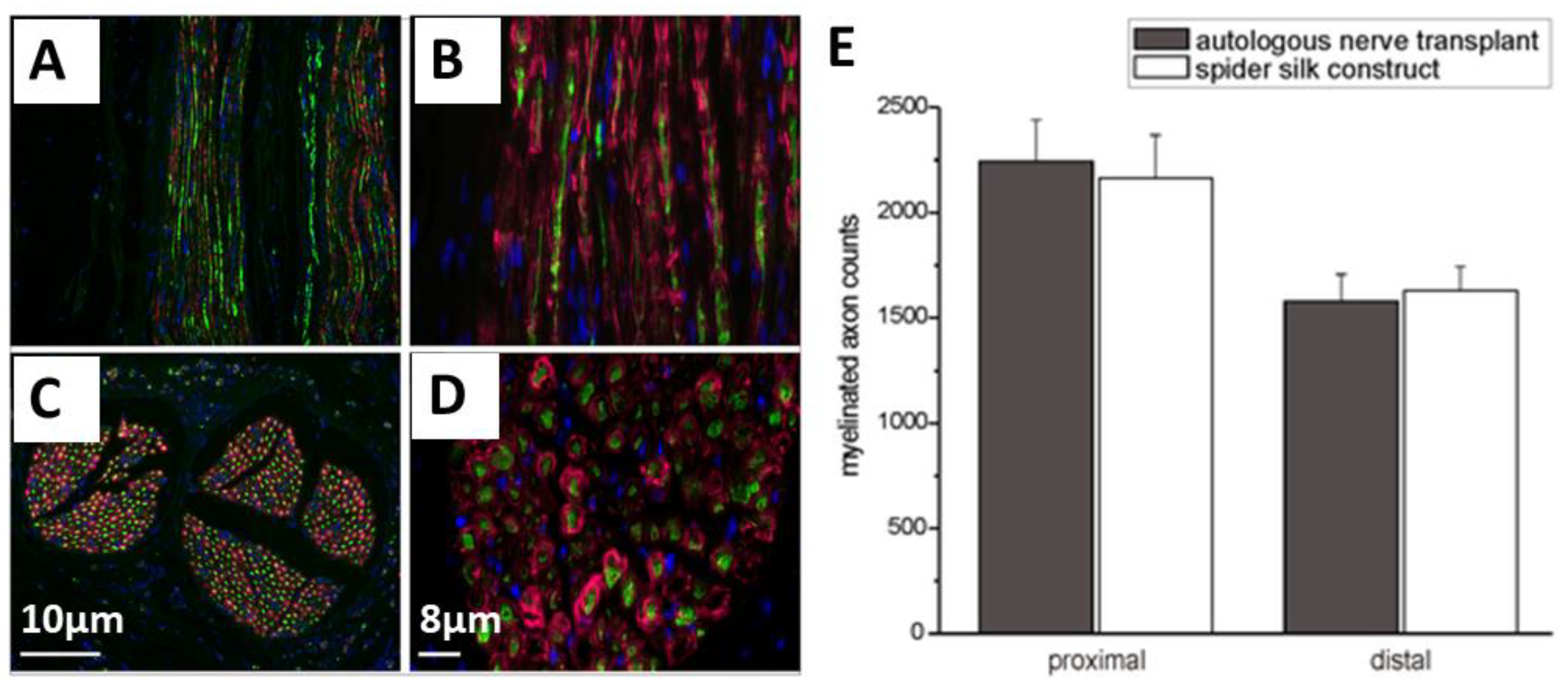 Molecules 25 00737 g009