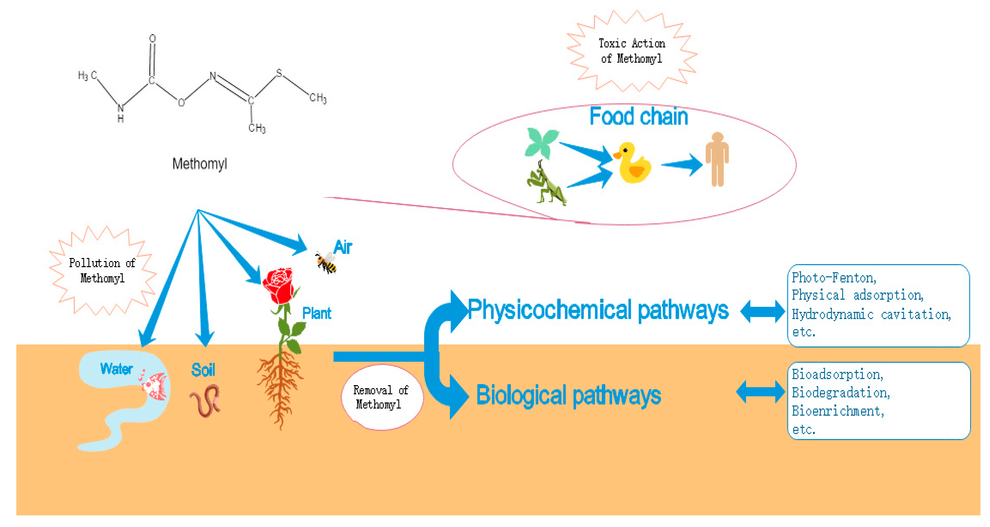 Molecules 25 00738 g002 Molecules 25 00738 g002