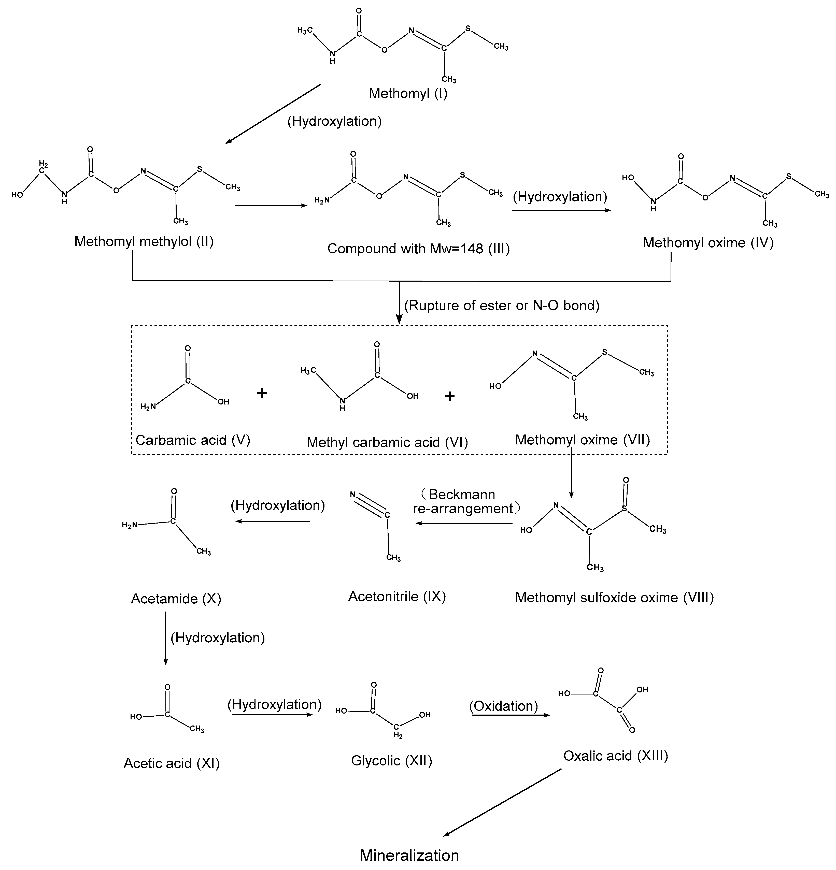 Molecules 25 00738 g003 Molecules 25 00738 g003