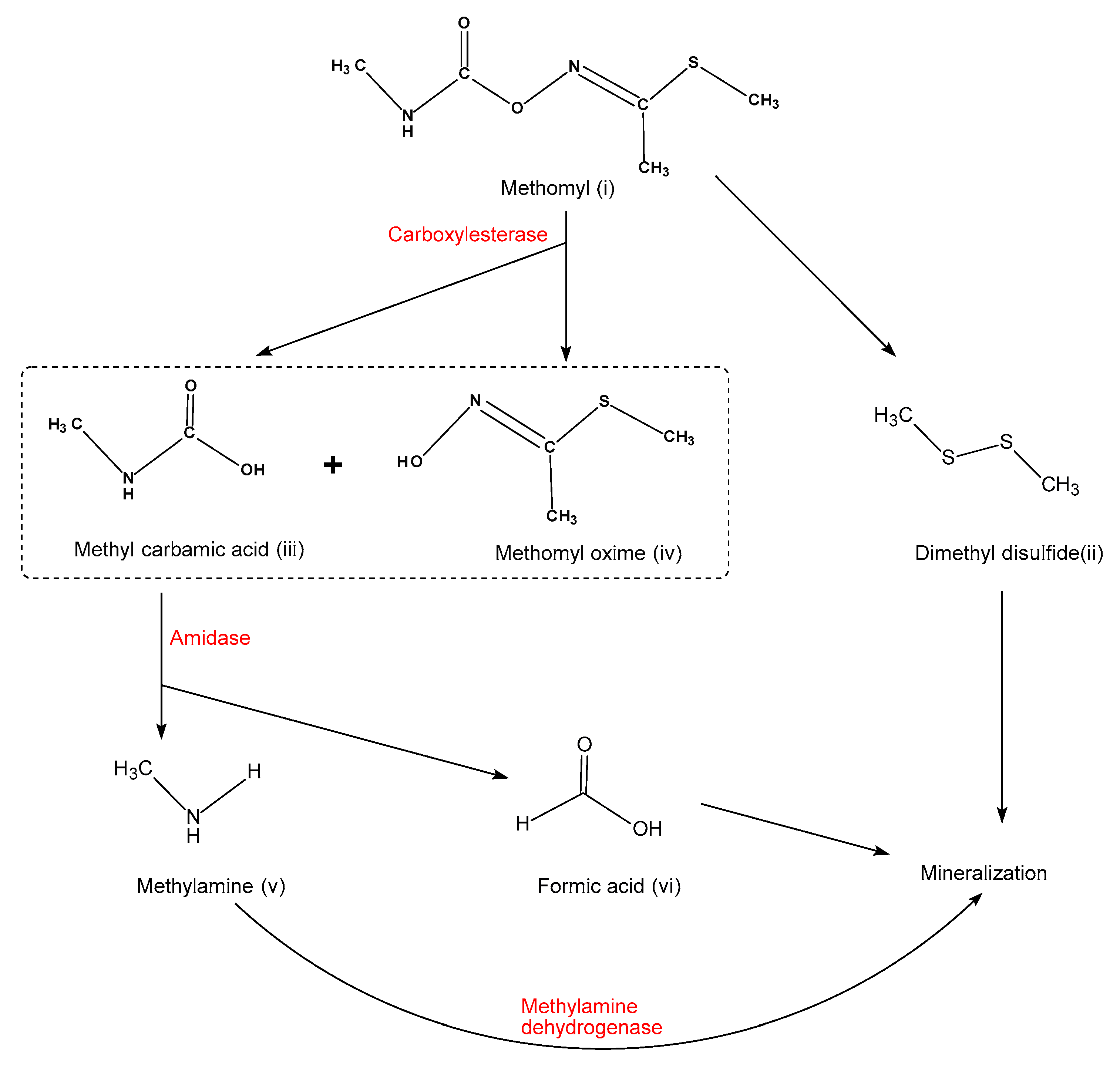 Molecules 25 00738 g004 Molecules 25 00738 g004