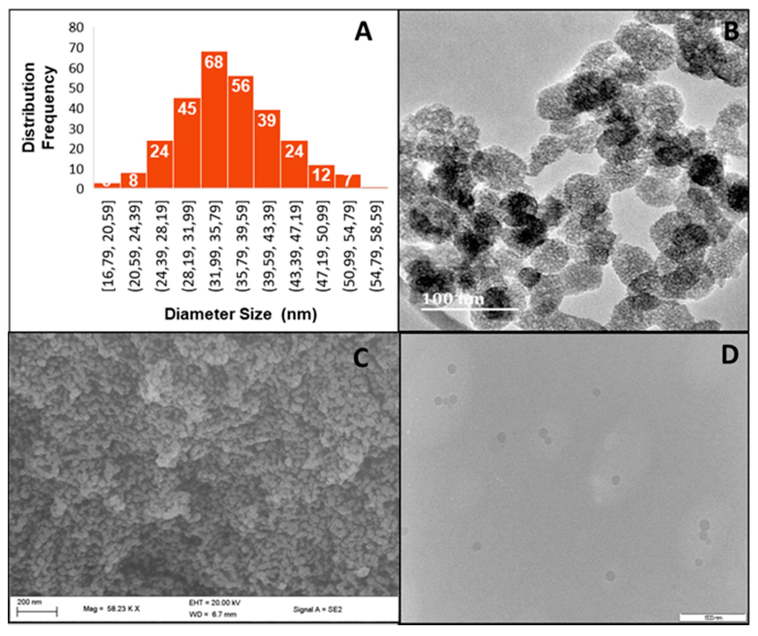 Molecules 25 00742 g001