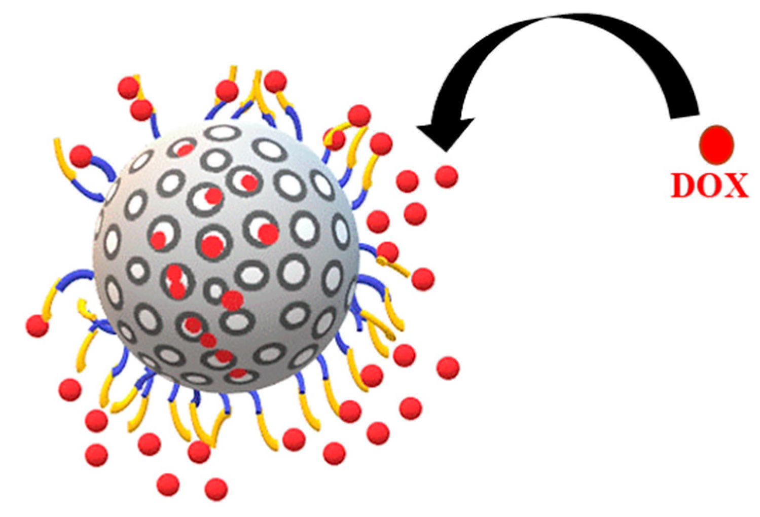 Molecules 25 00742 g004