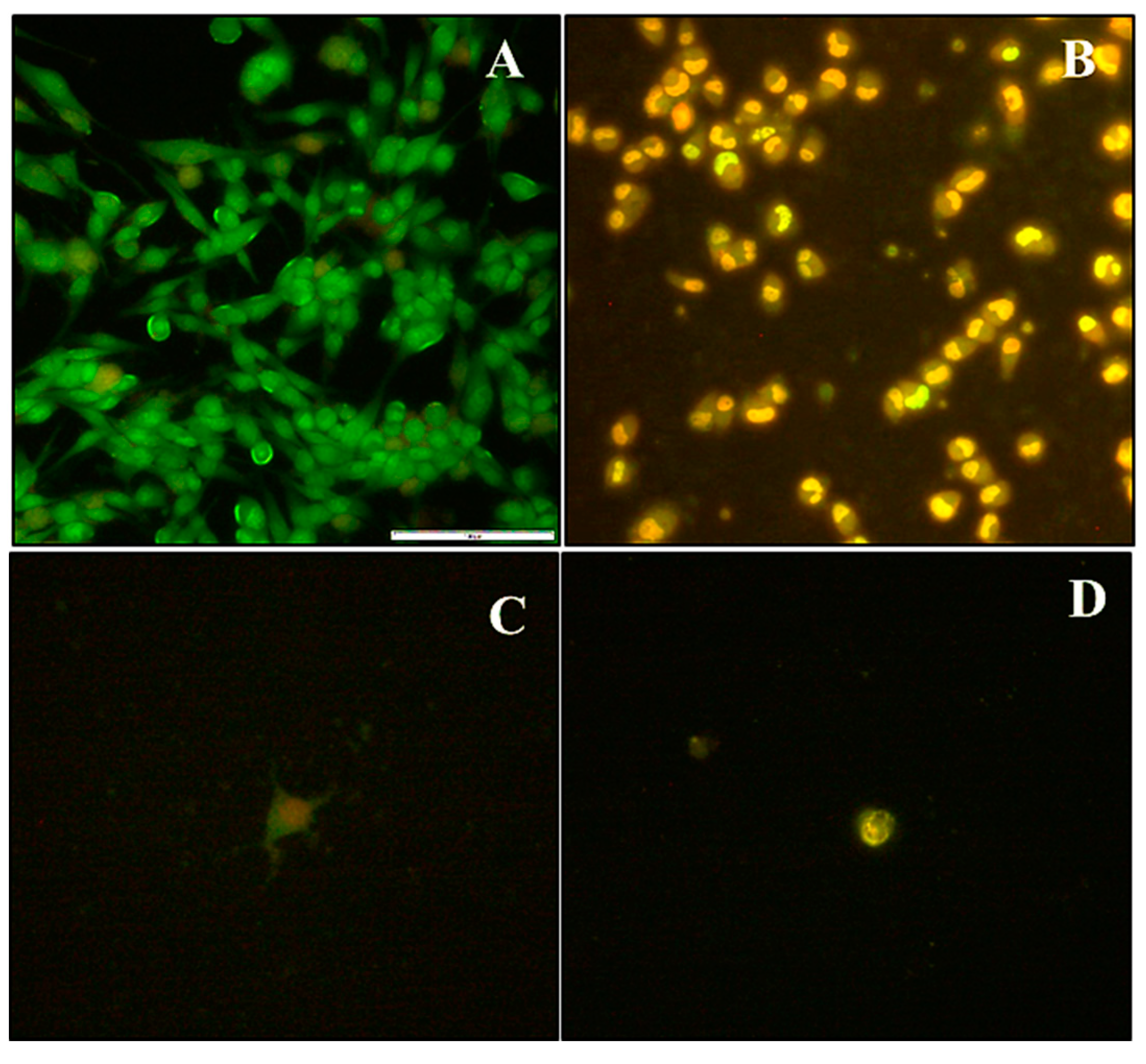 Molecules 25 00742 g007