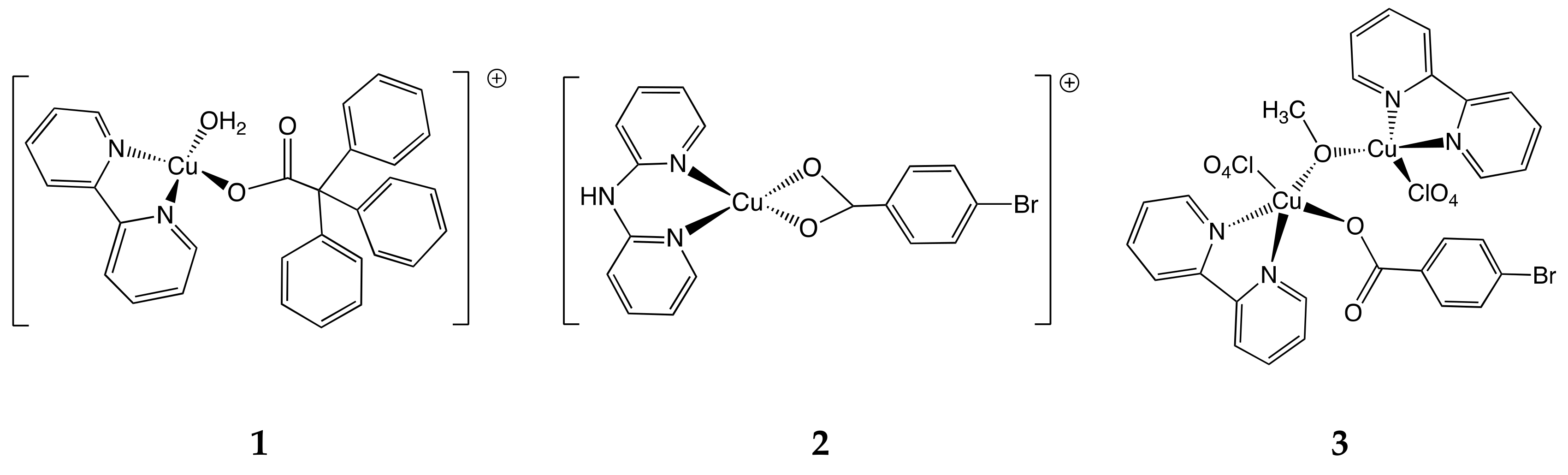 Molecules 25 00748 g001