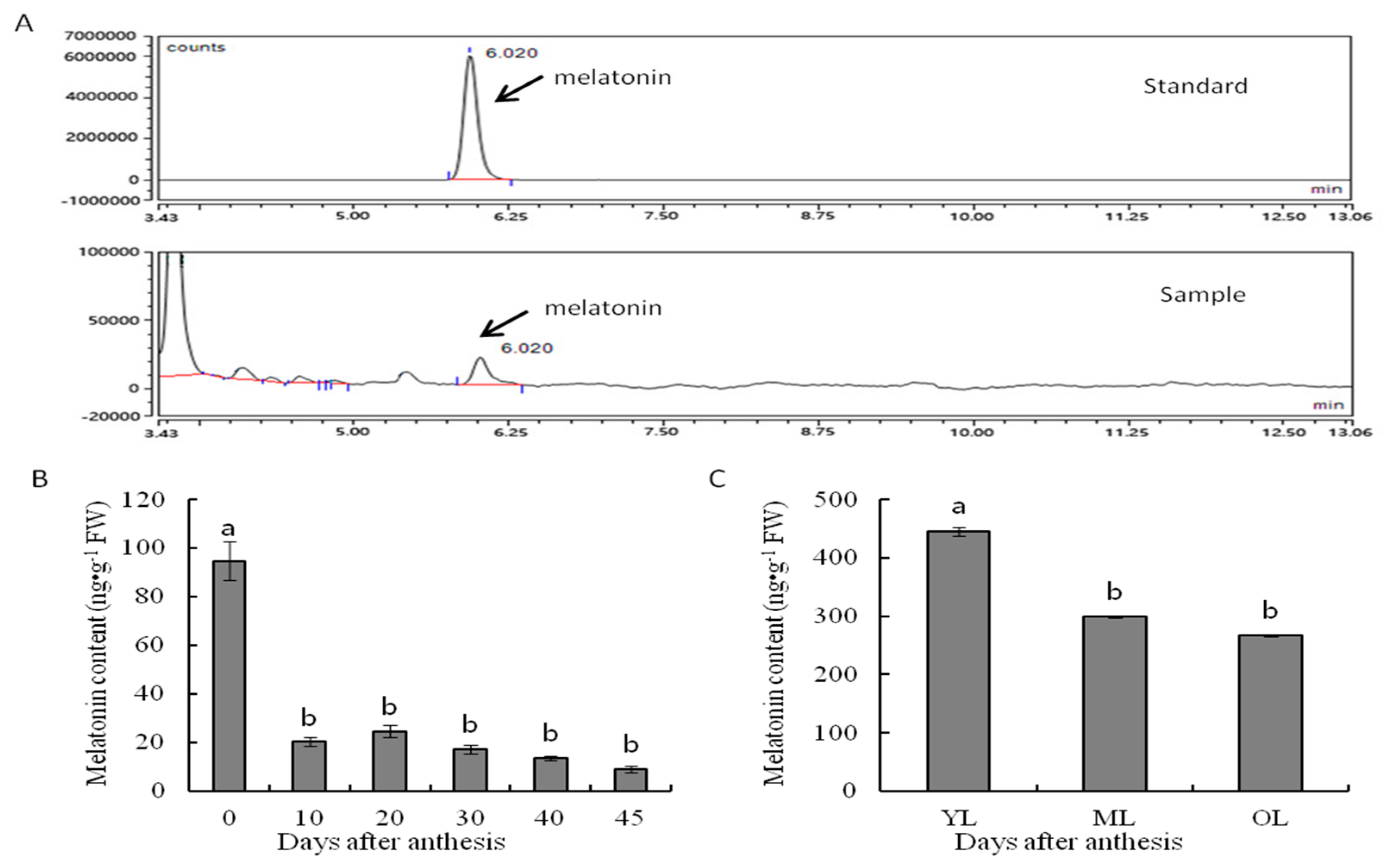 Molecules 25 00753 g001