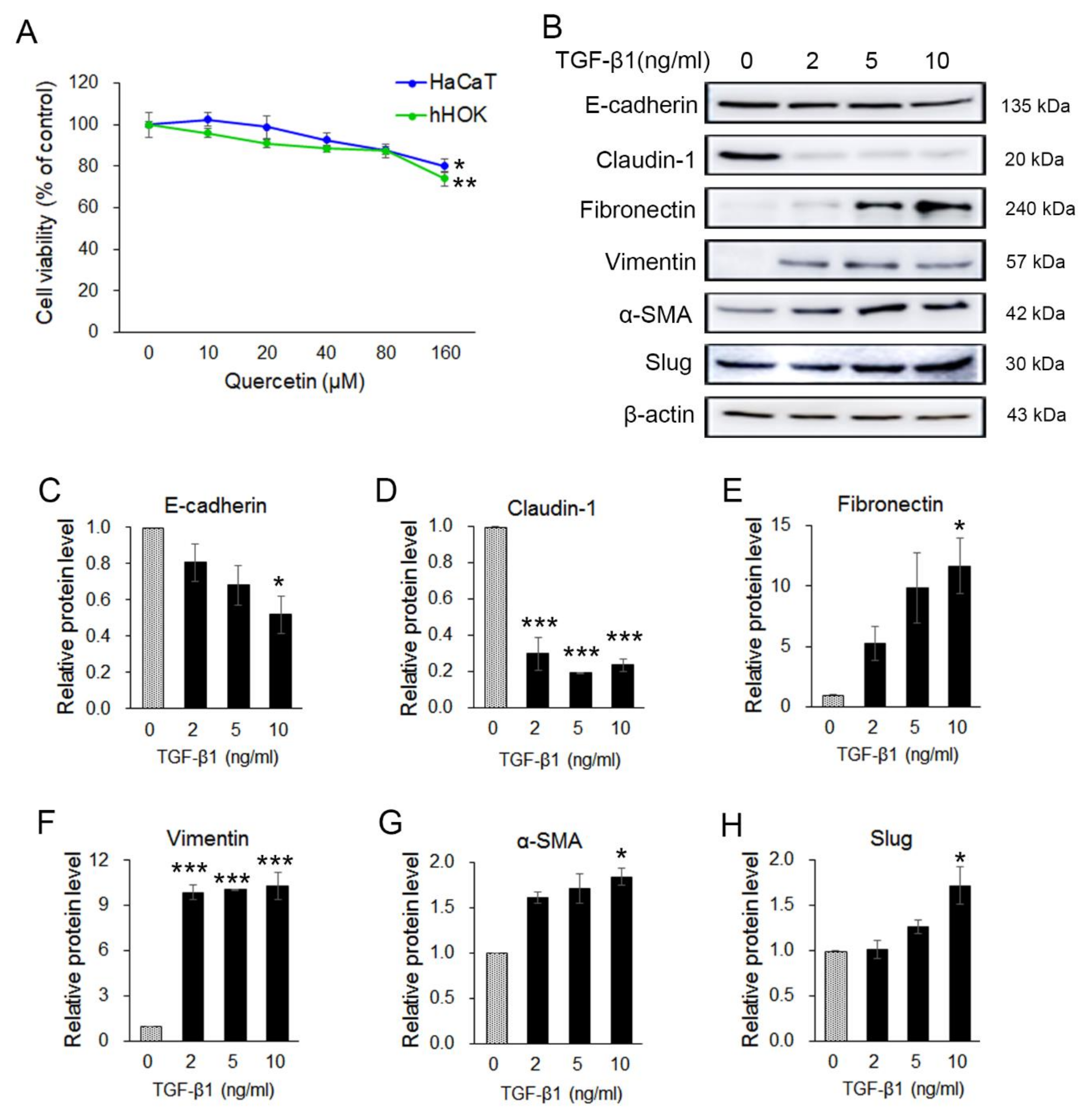Molecules 25 00757 g005