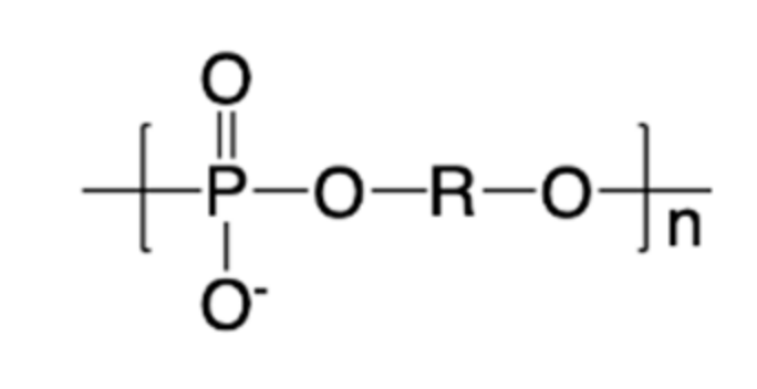 Molecules 25 00758 g001